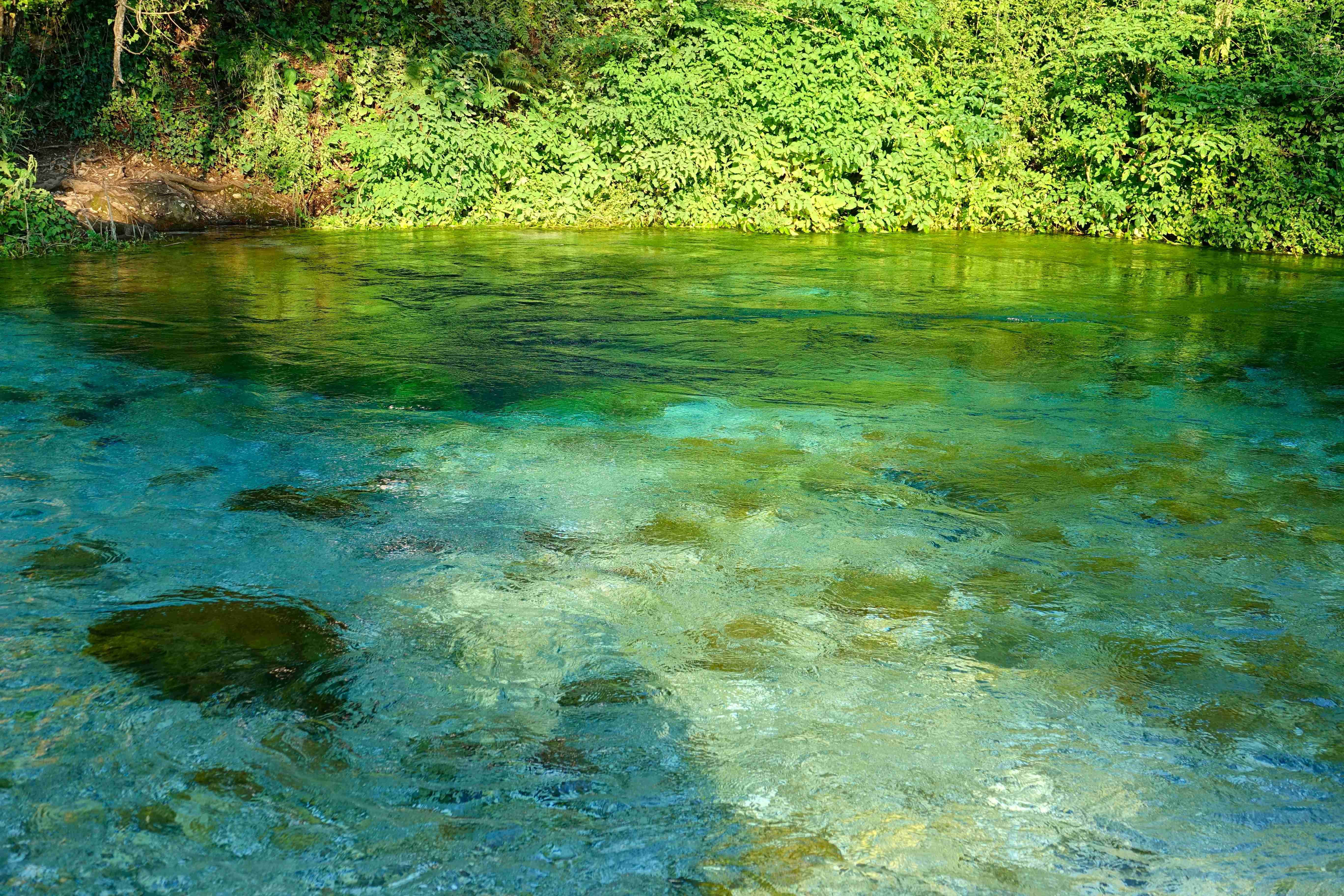 Albánie_Syri i Kaltër_Modré oko_2019_07_005