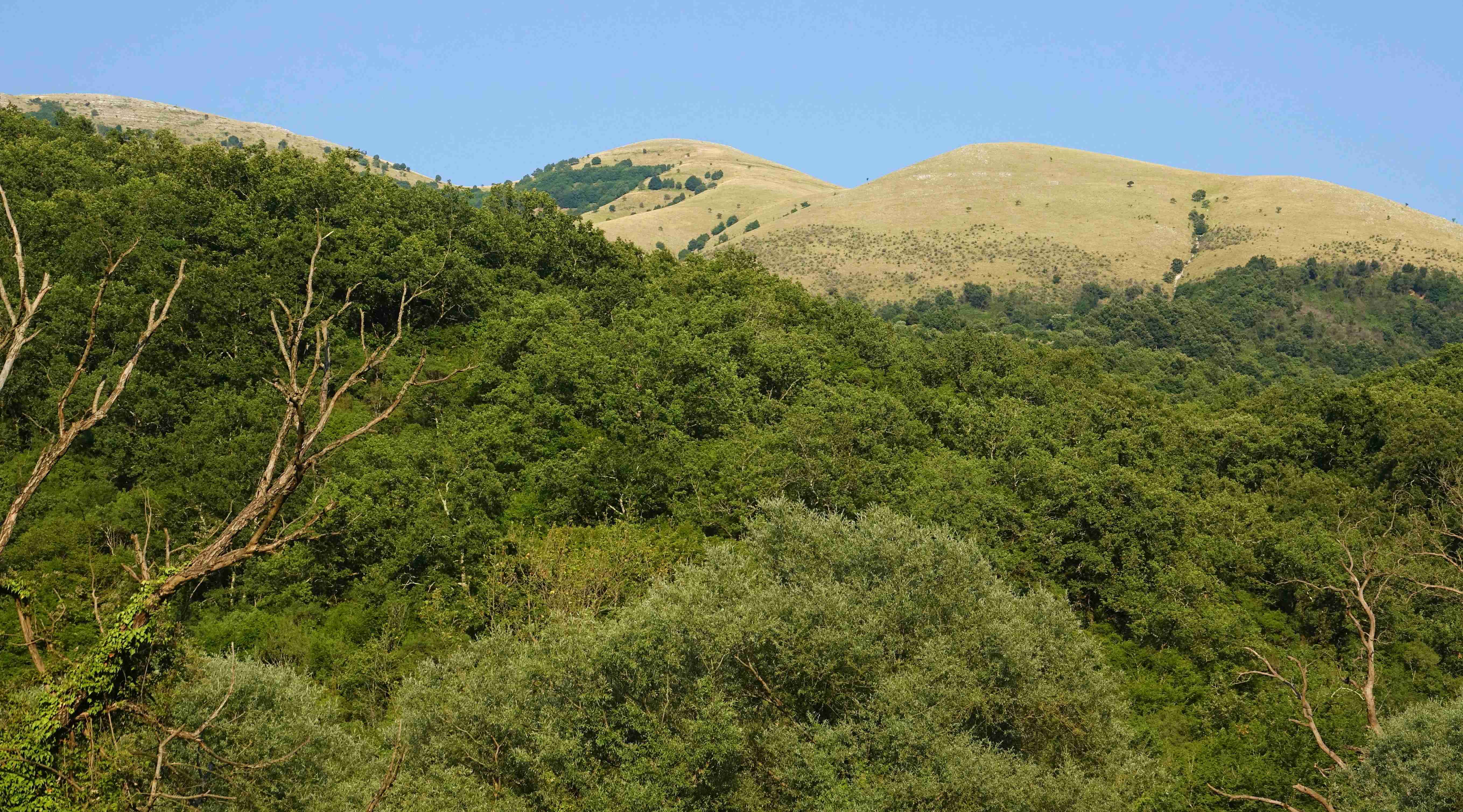 Albánie_Syri i Kaltër_Modré oko_2019_07_011