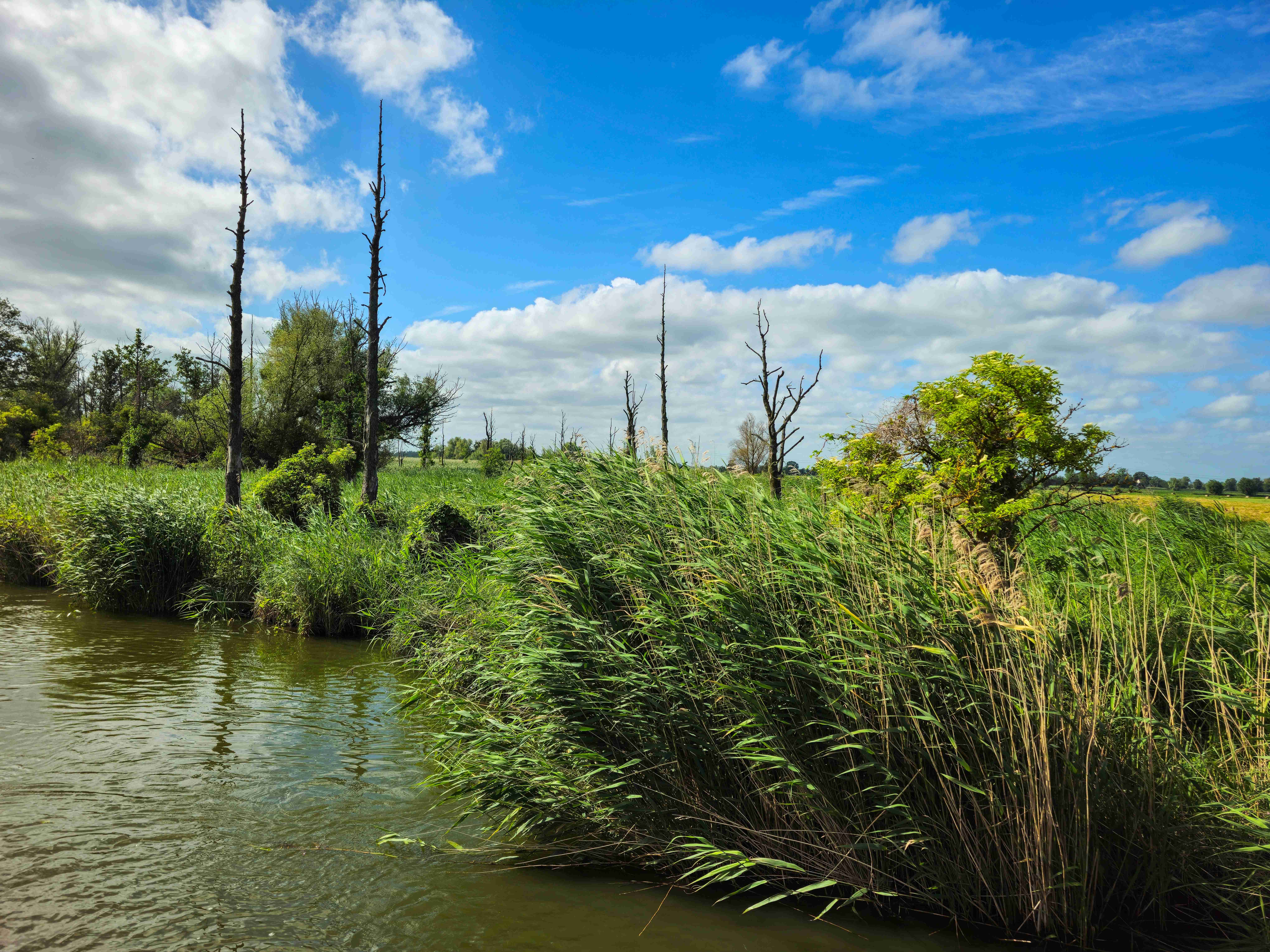 Elblagský kanál_ 2025_06_30_003