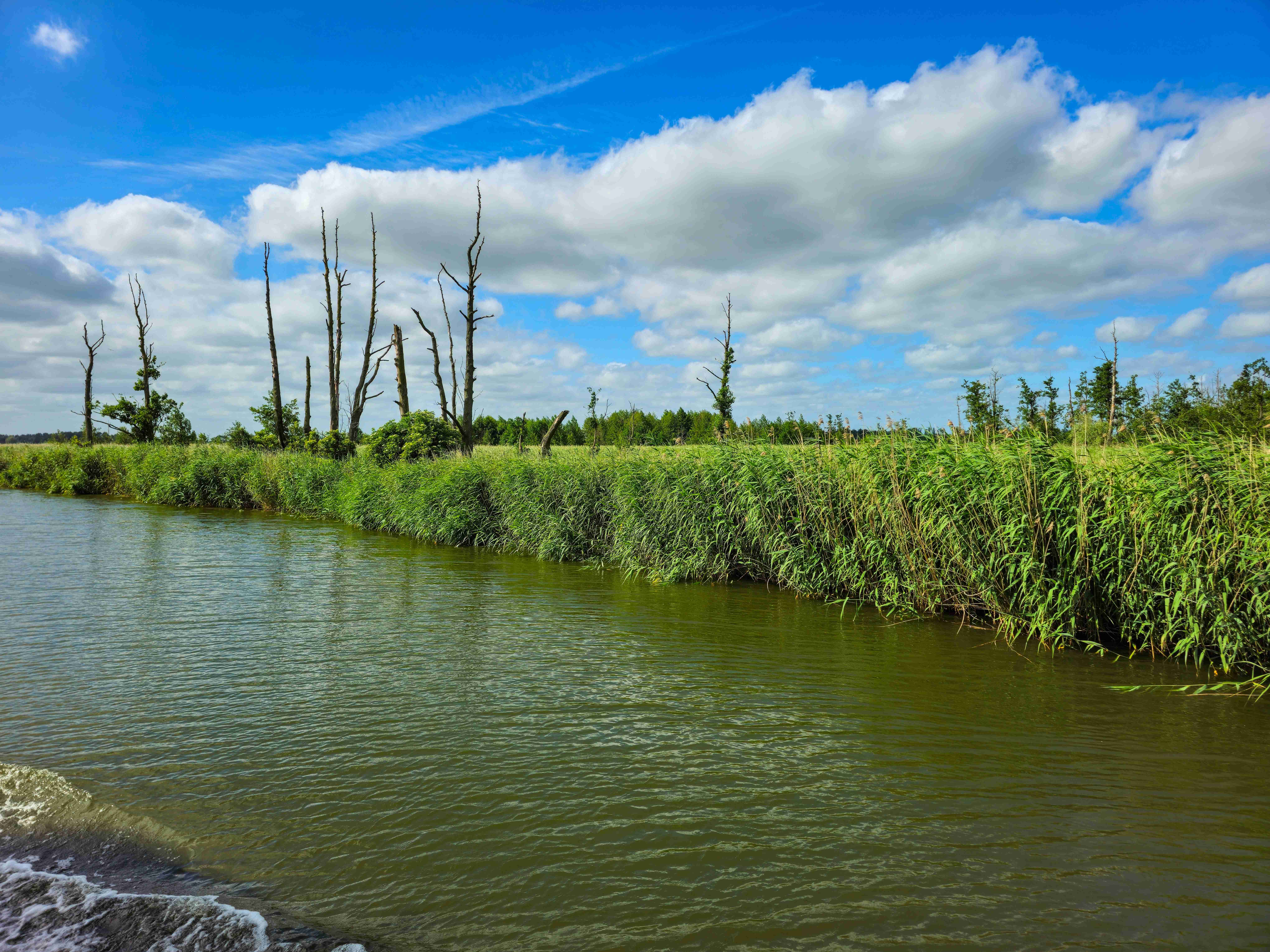 Elblagský kanál_ 2025_06_30_005
