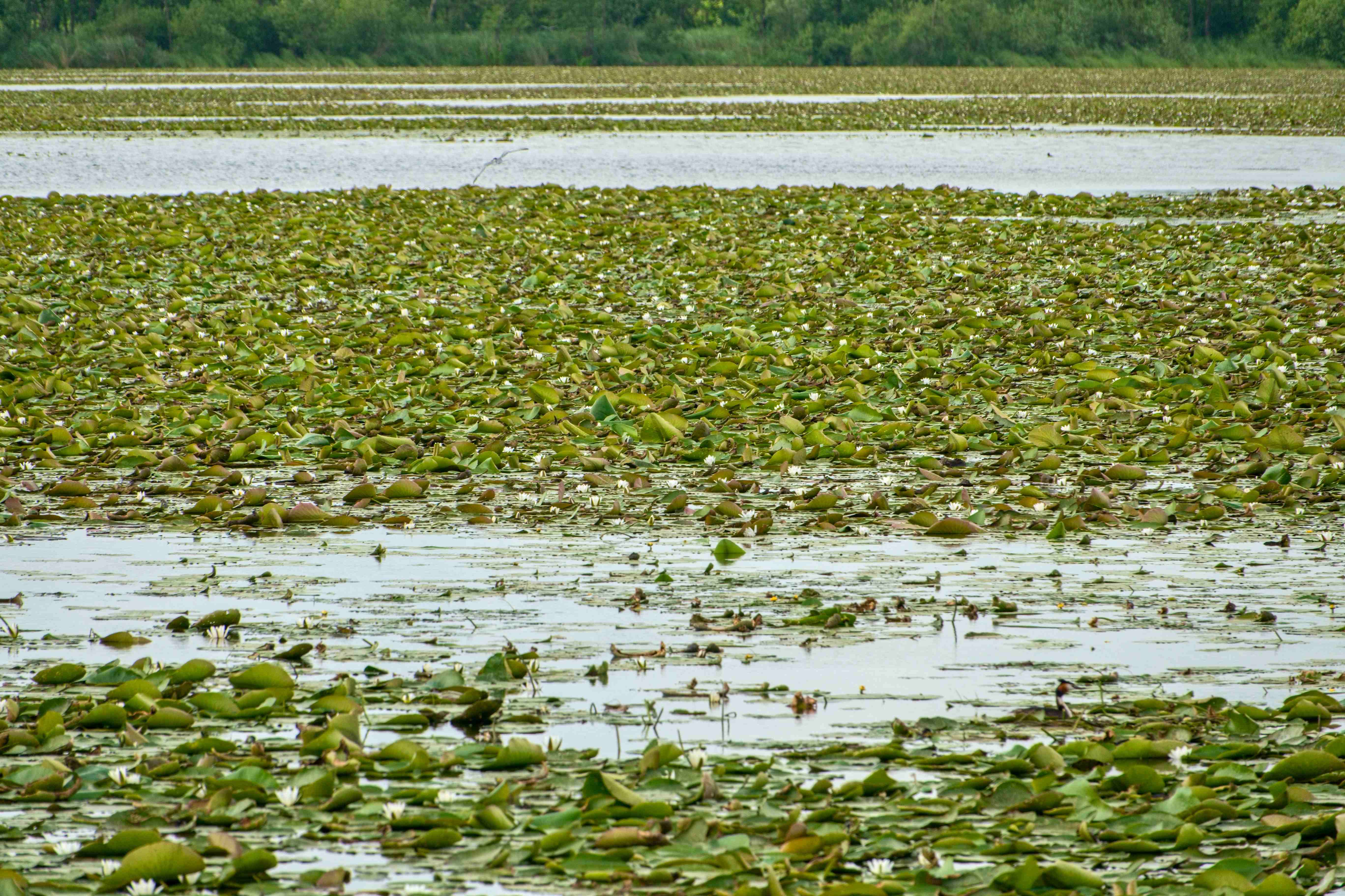 Elblagský kanál_ 2025_06_30_008