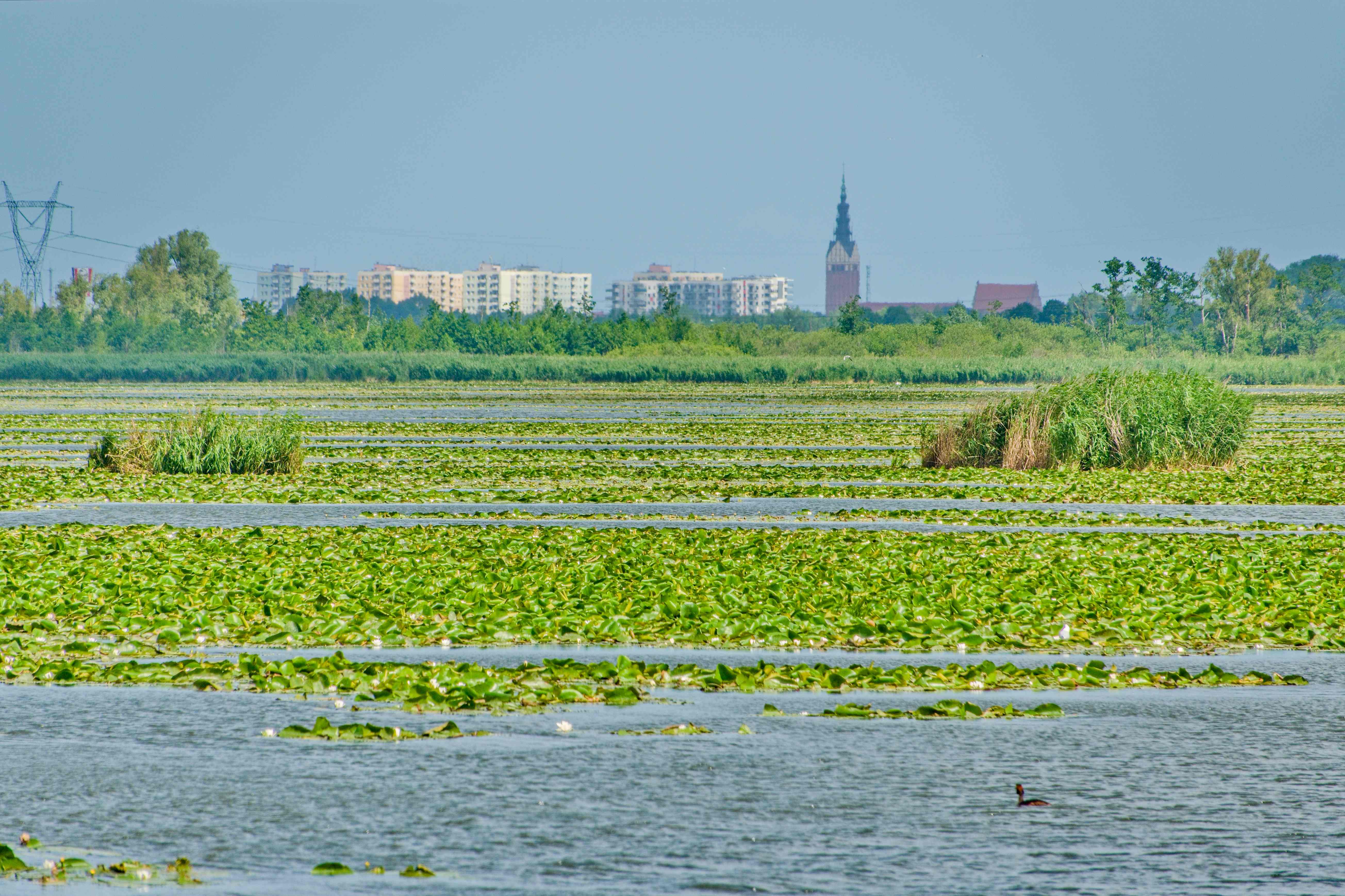 Elblagský kanál_ 2025_06_30_011
