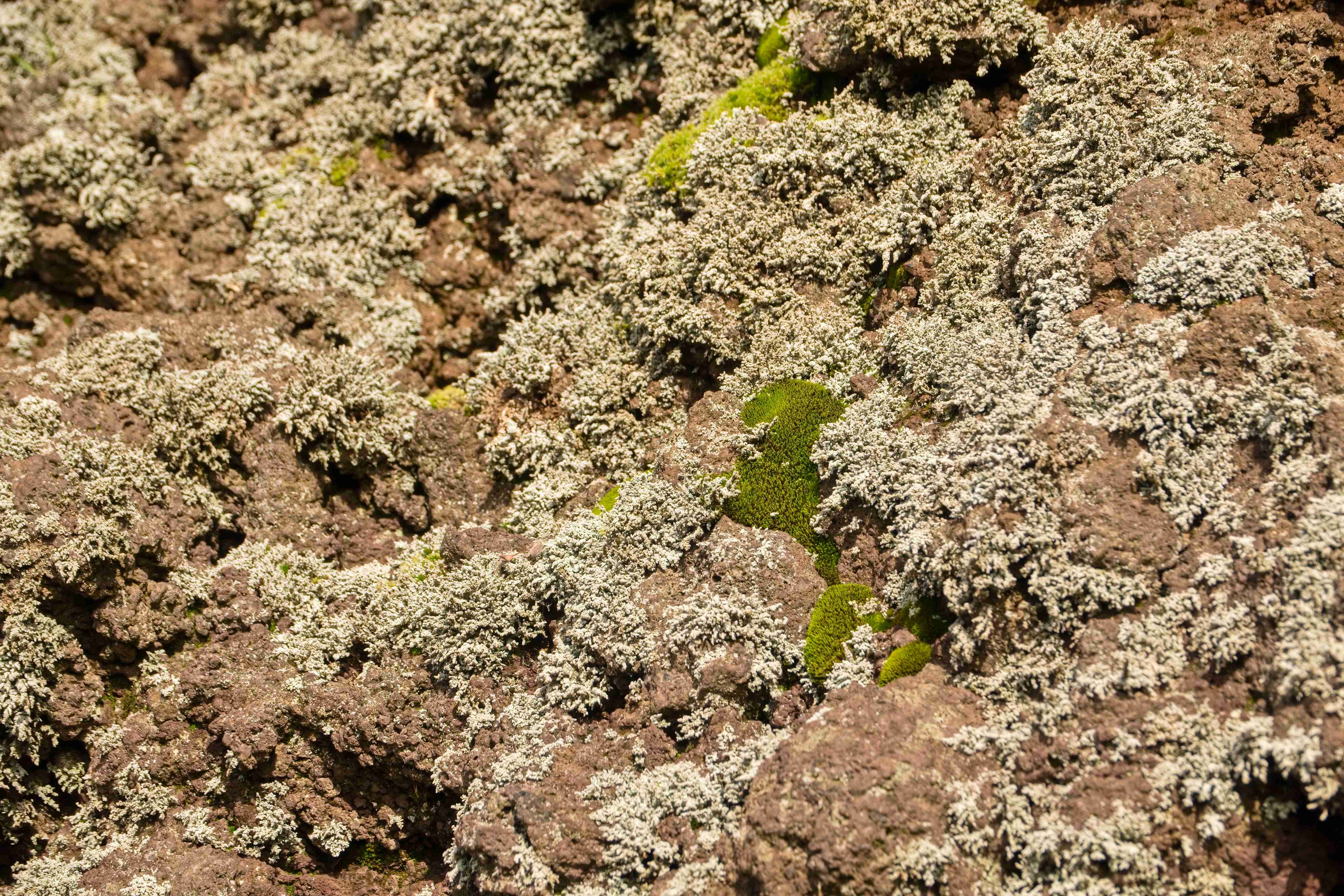 2024_10_27_Vesuv_dopoledne_022