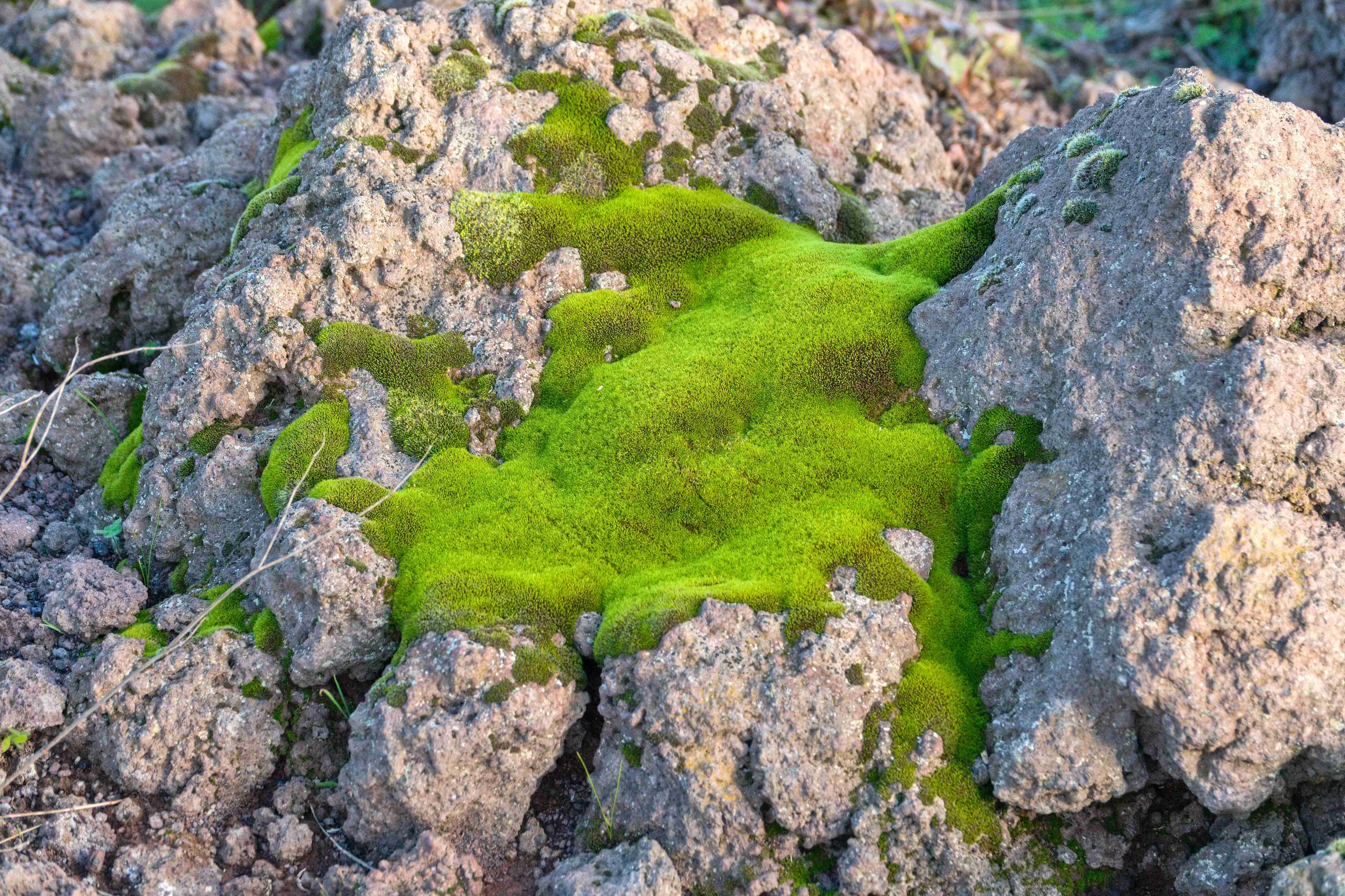 2024_10_27_Vesuv_dopoledne_026