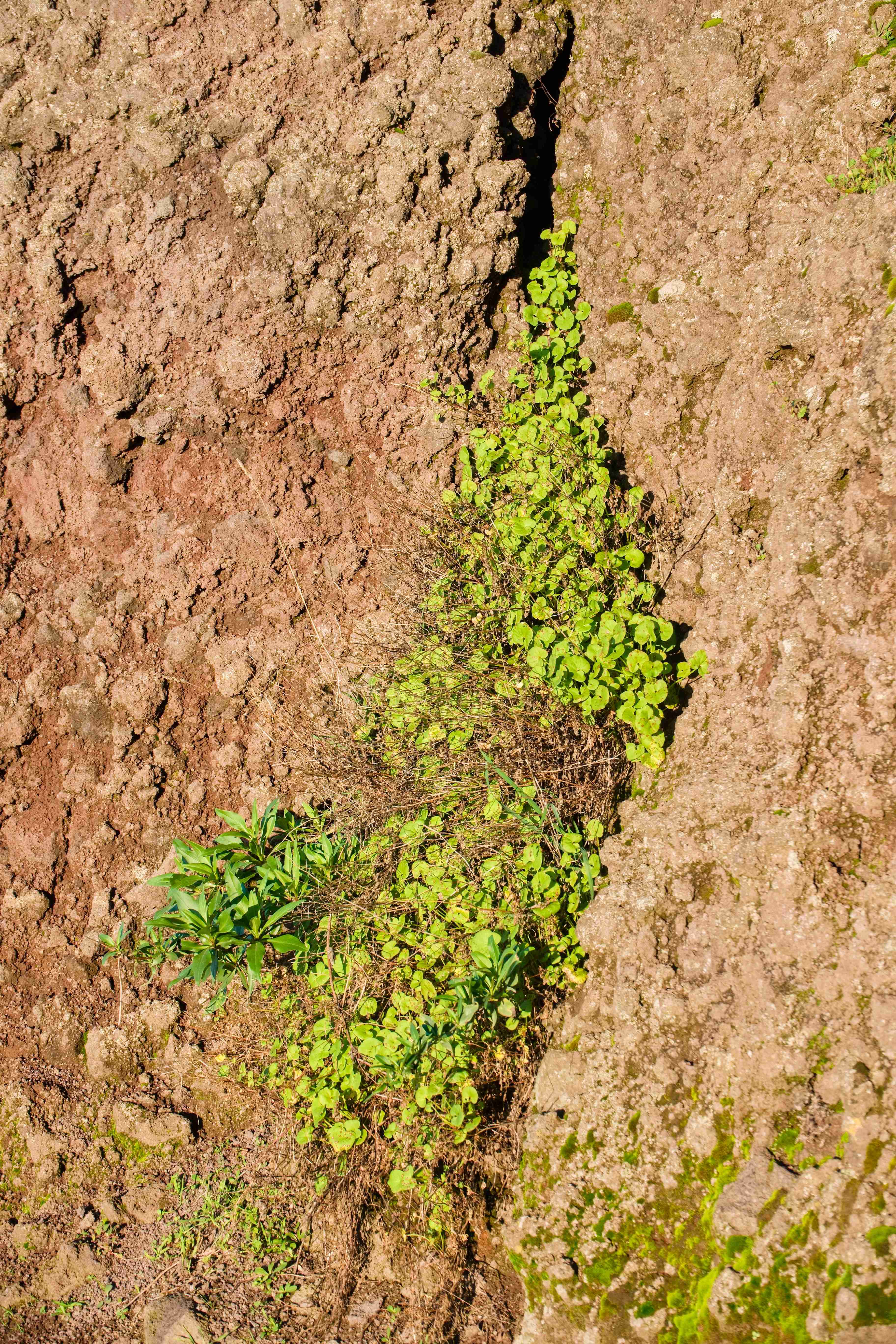 2024_10_27_Vesuv_dopoledne_035