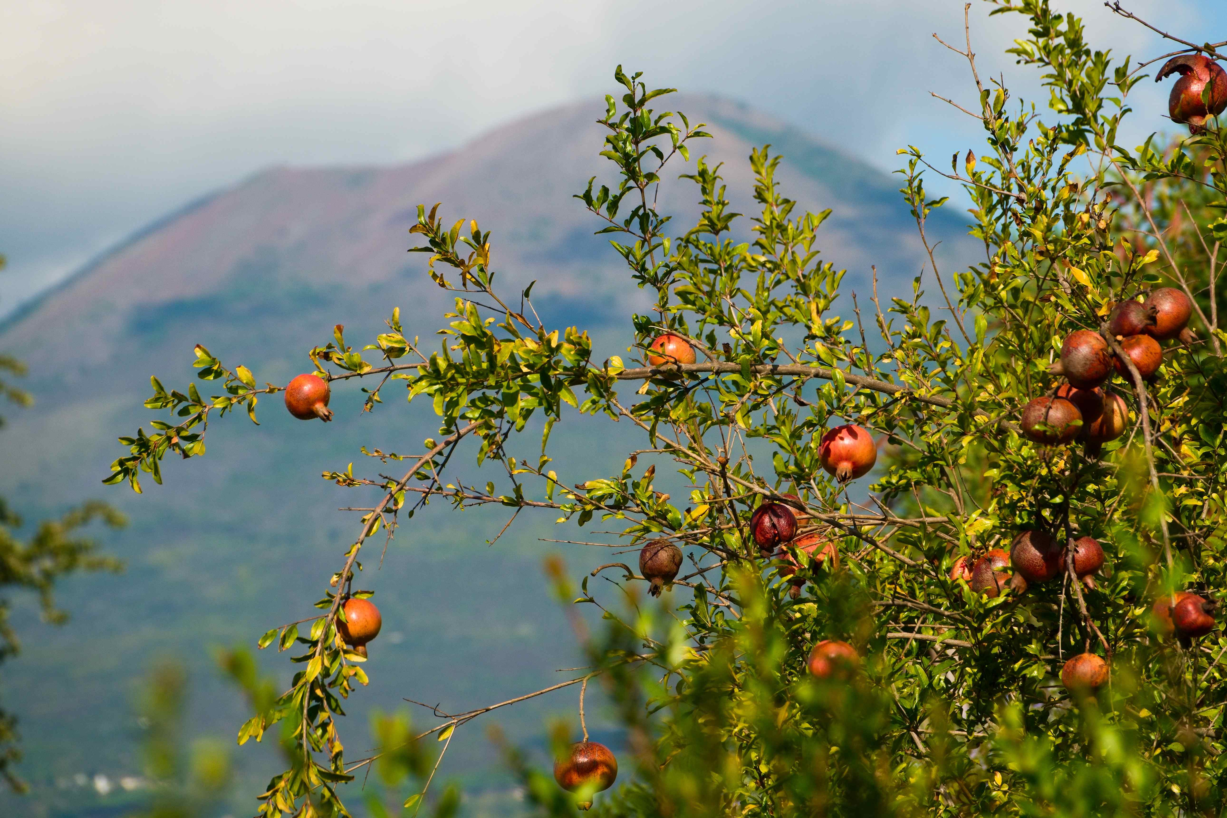 2024_10_27_Vesuv z Pompejí_001