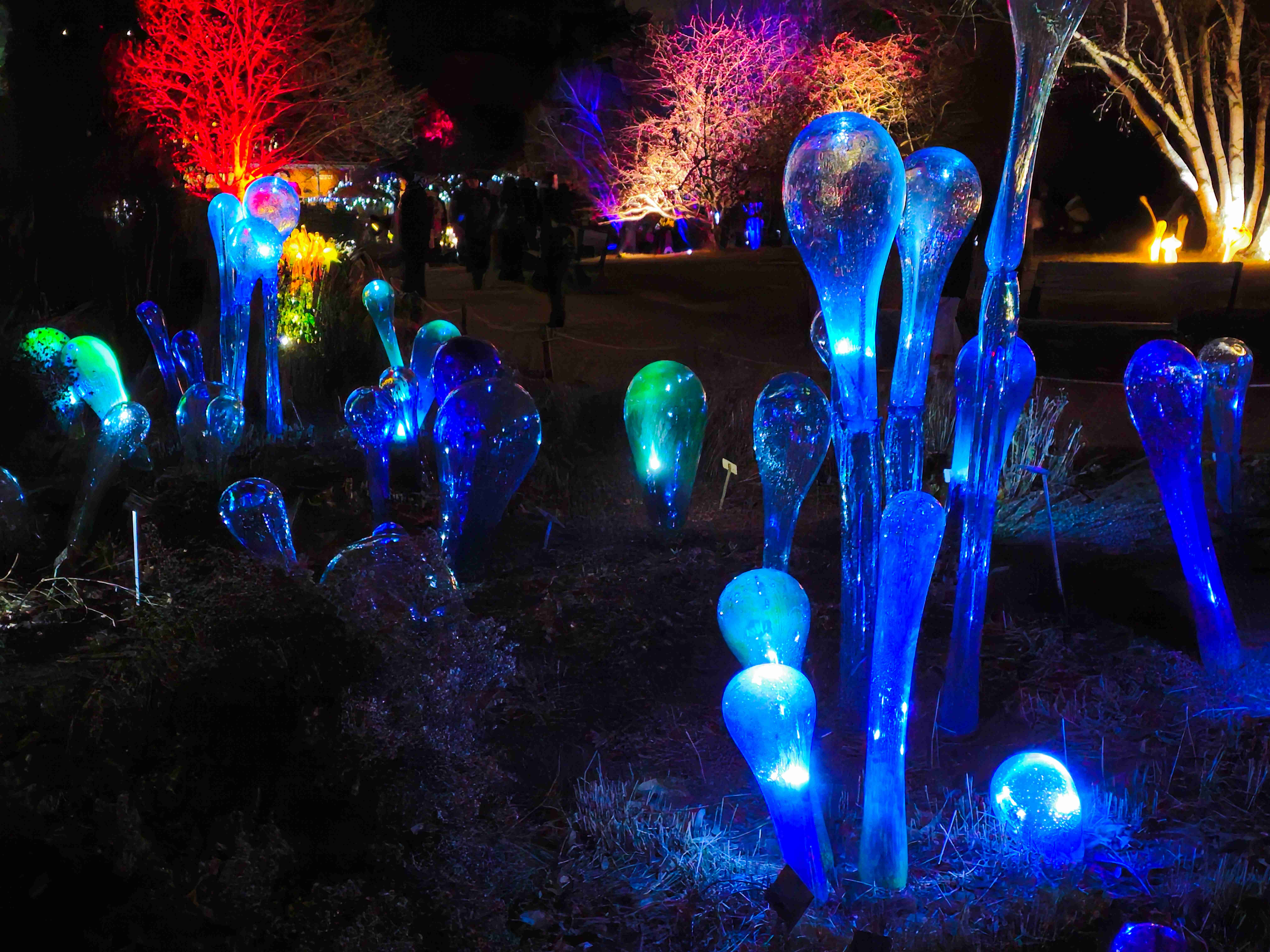 Praha_Křišťálová zahrada_ 2026_01_02_004