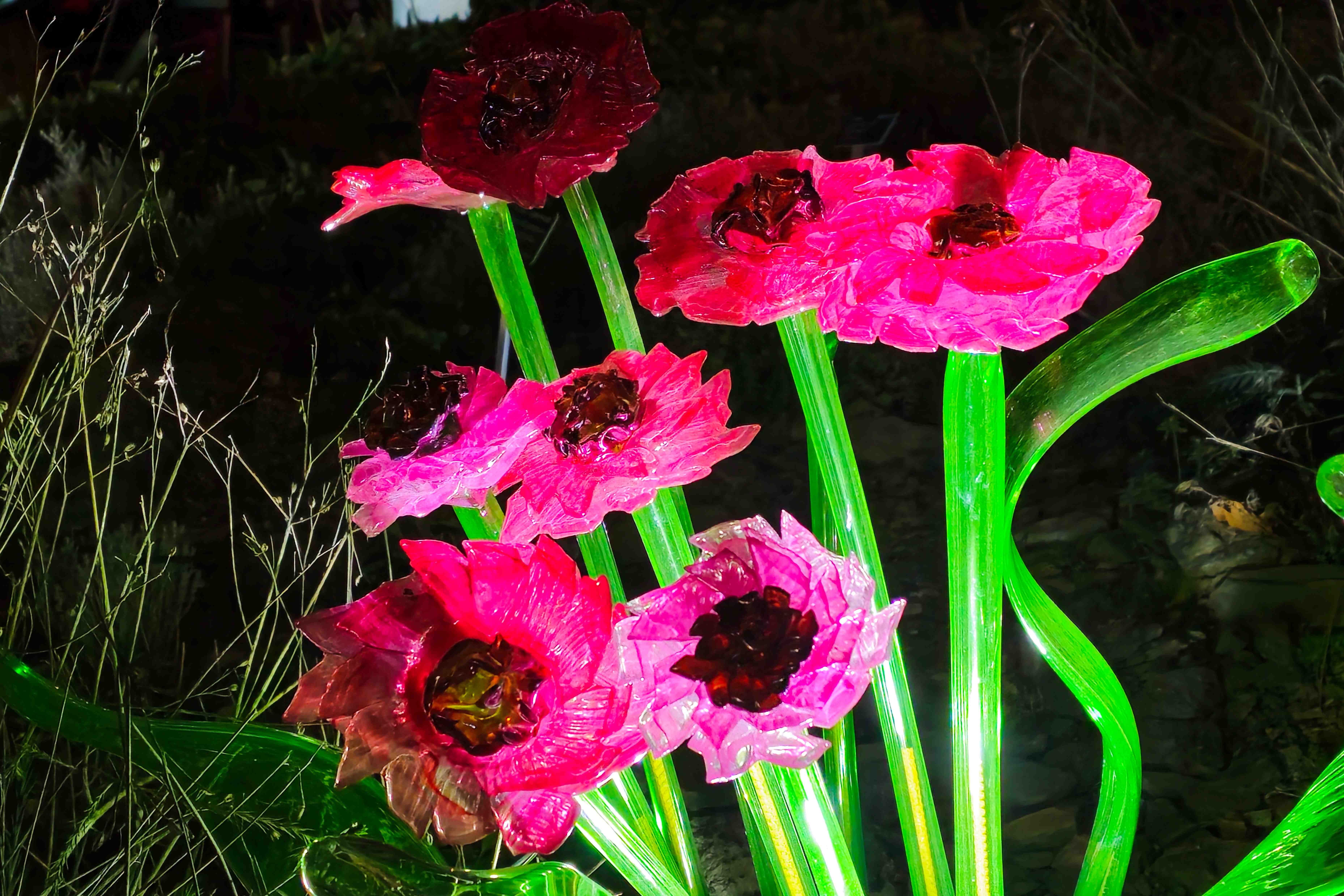 Praha_Křišťálová zahrada_ 2026_01_02_010