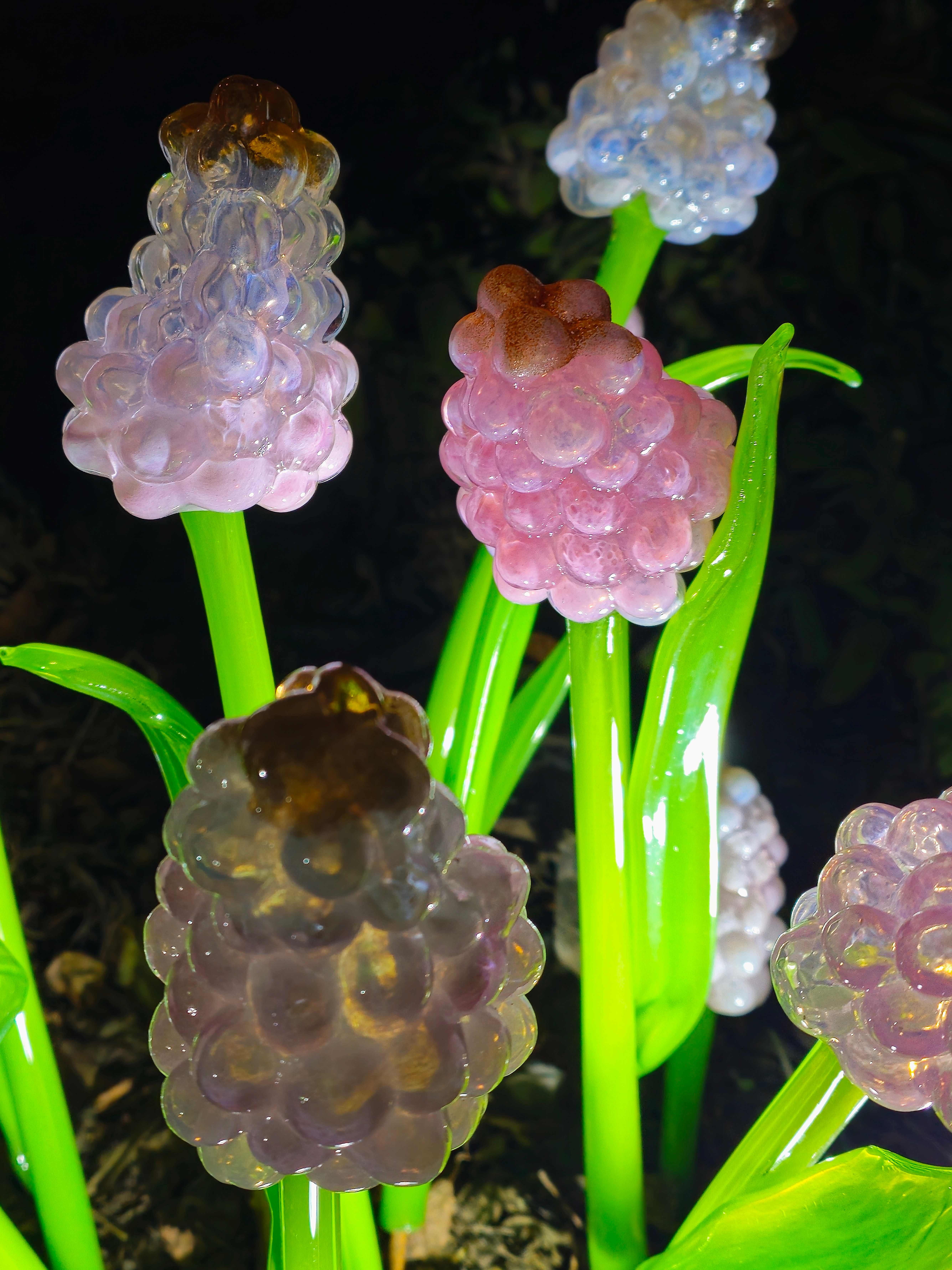 Praha_Křišťálová zahrada_ 2026_01_02_011