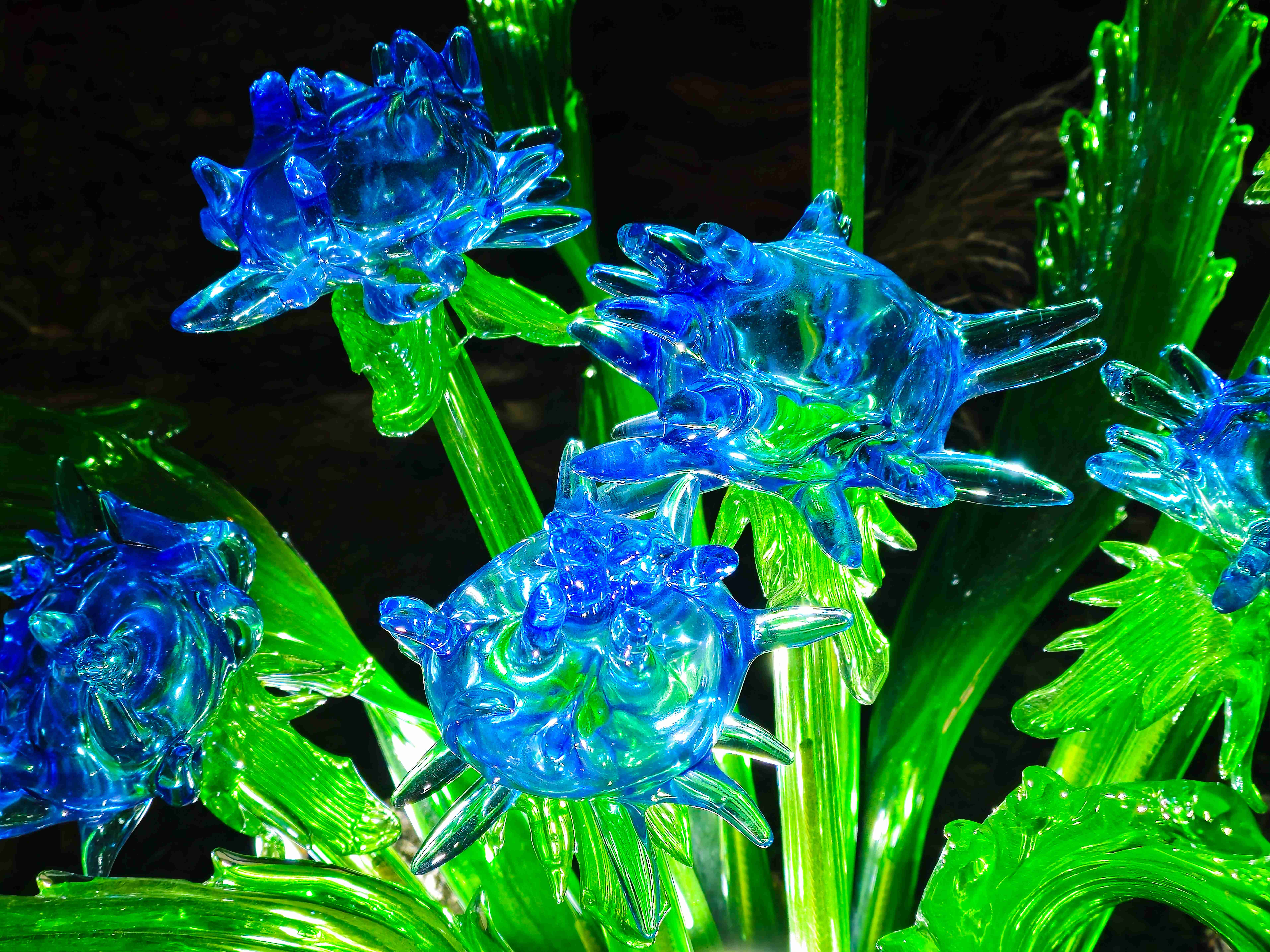 Praha_Křišťálová zahrada_ 2026_01_02_012