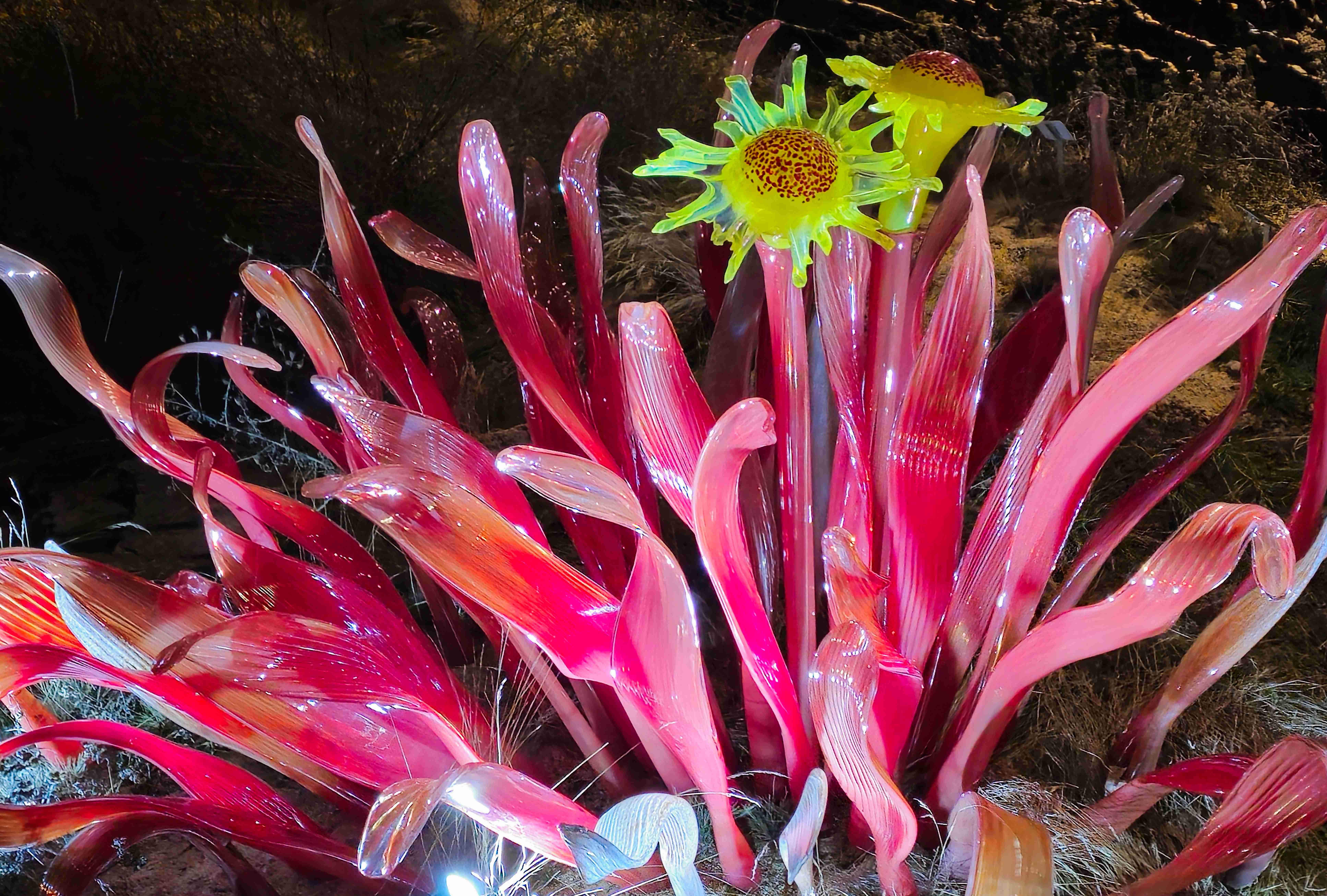 Praha_Křišťálová zahrada_ 2026_01_02_013