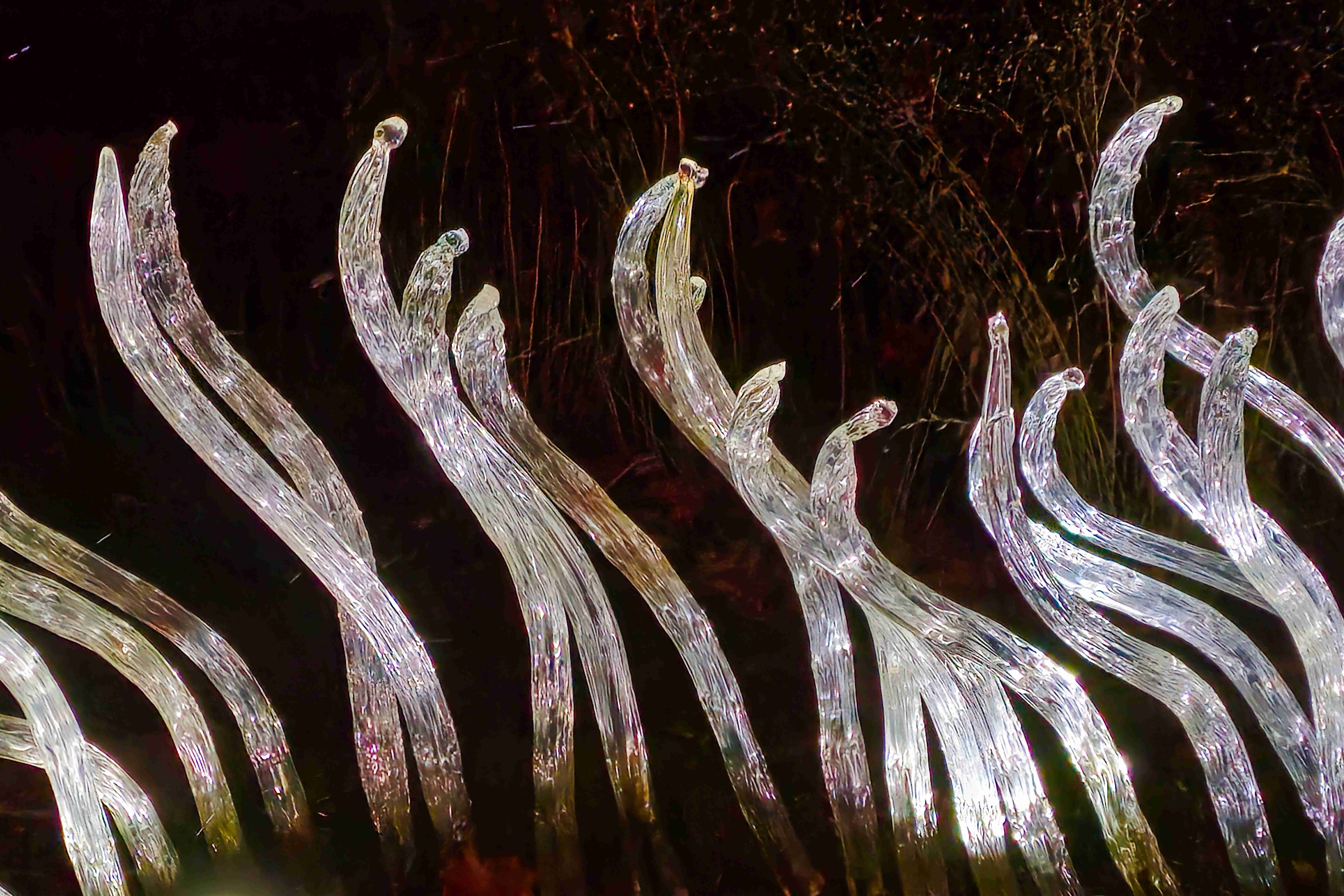 Praha_Křišťálová zahrada_ 2026_01_02_014