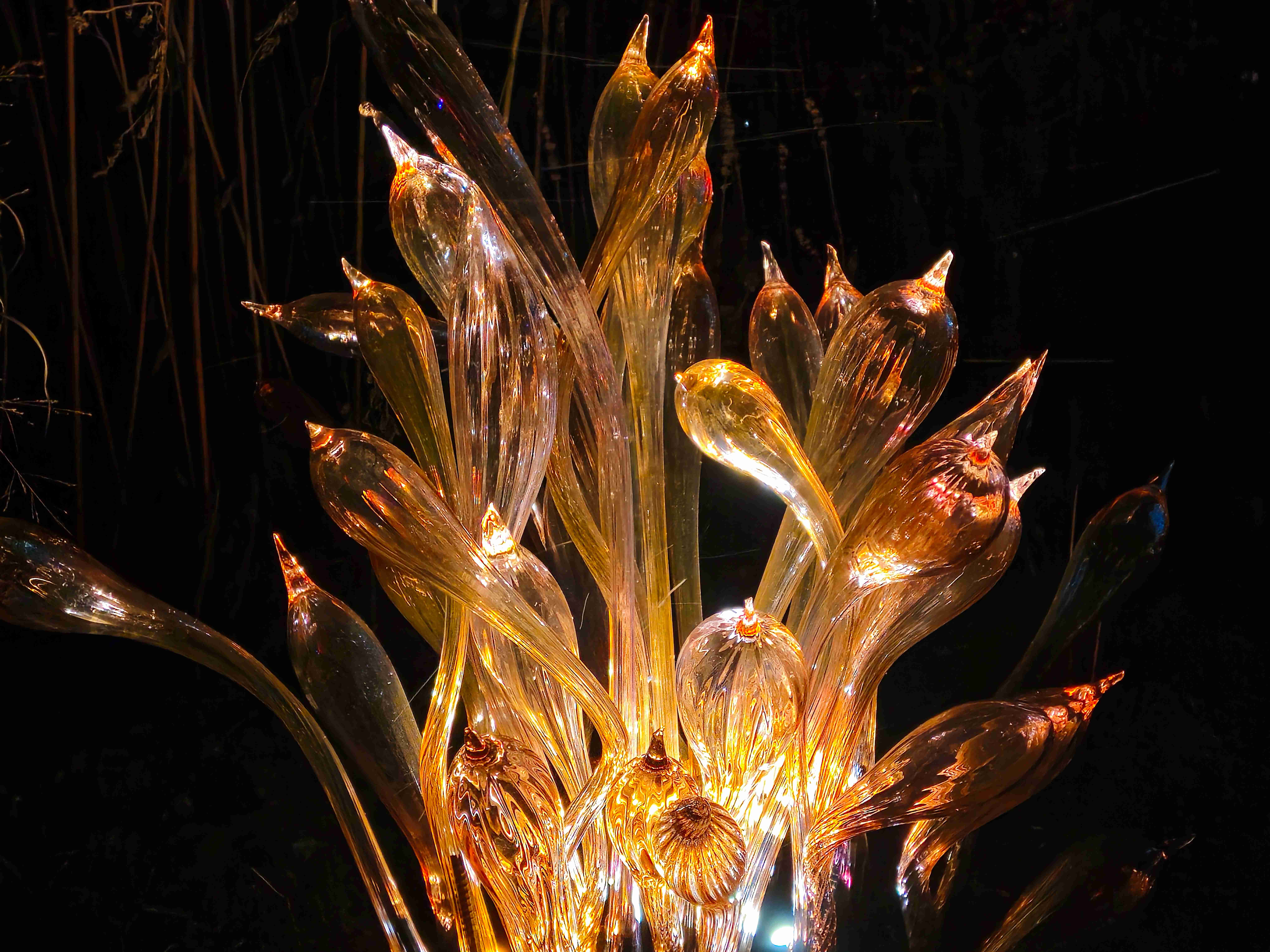 Praha_Křišťálová zahrada_ 2026_01_02_015