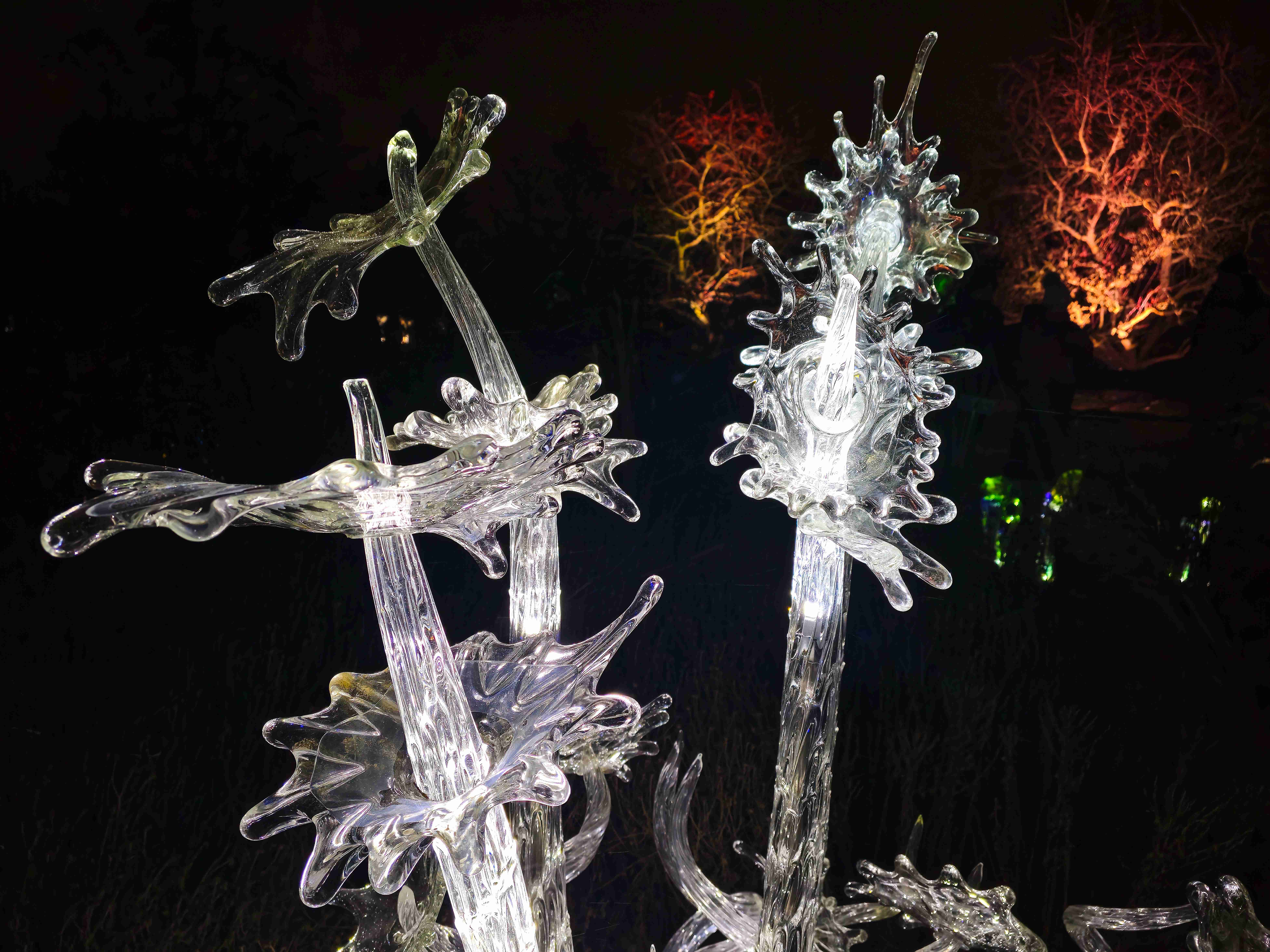 Praha_Křišťálová zahrada_ 2026_01_02_017