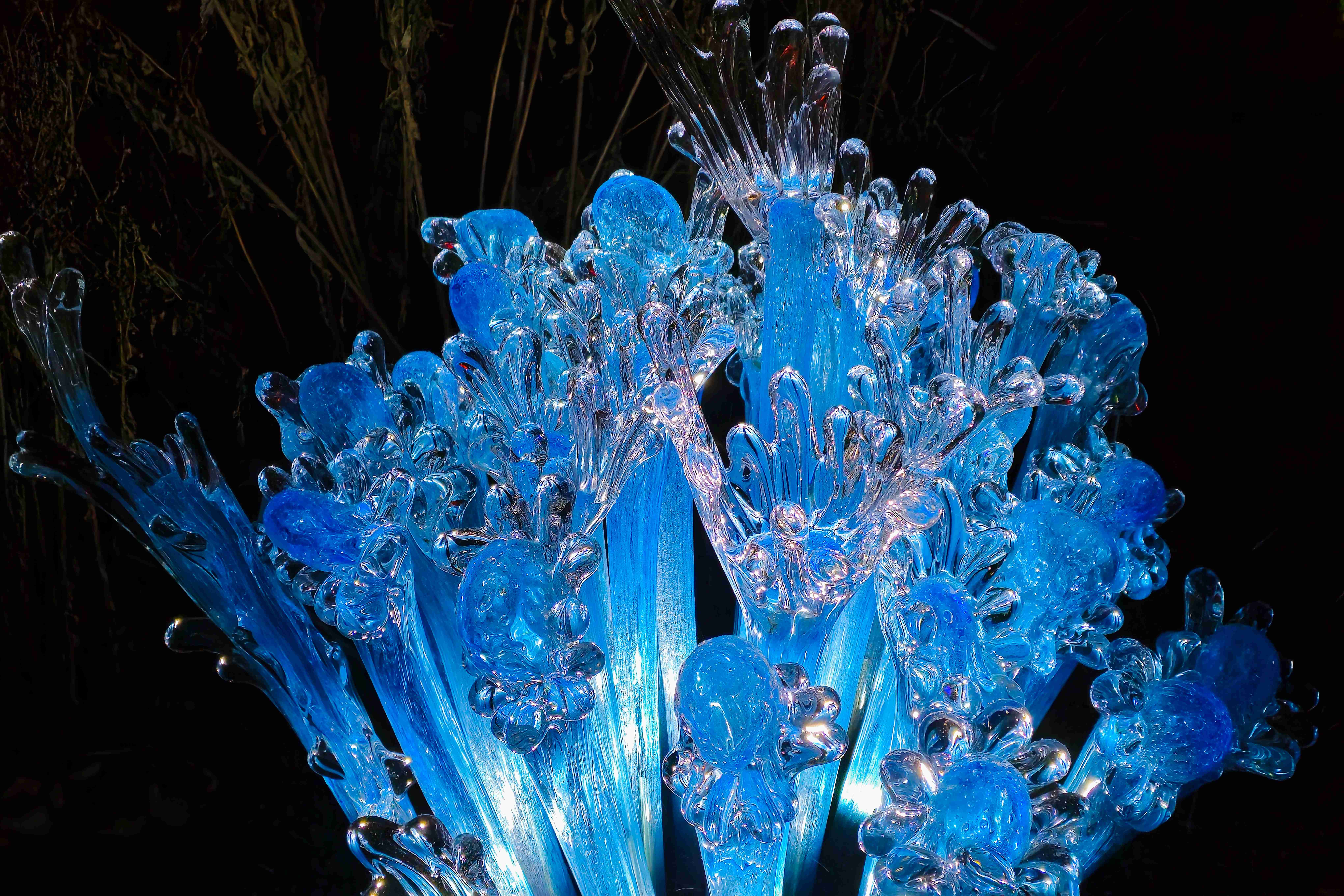 Praha_Křišťálová zahrada_ 2026_01_02_020