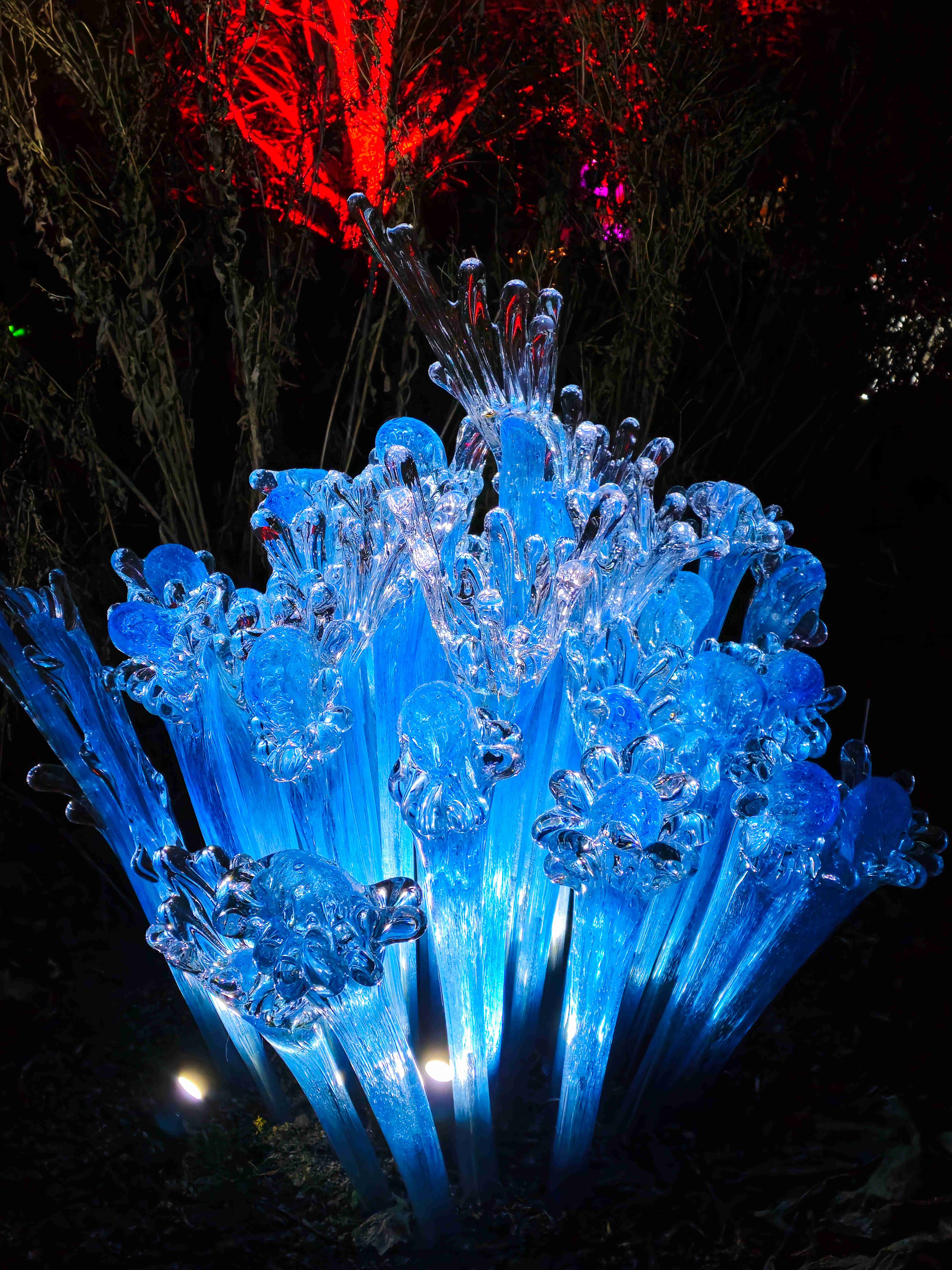 Praha_Křišťálová zahrada_ 2026_01_02_021