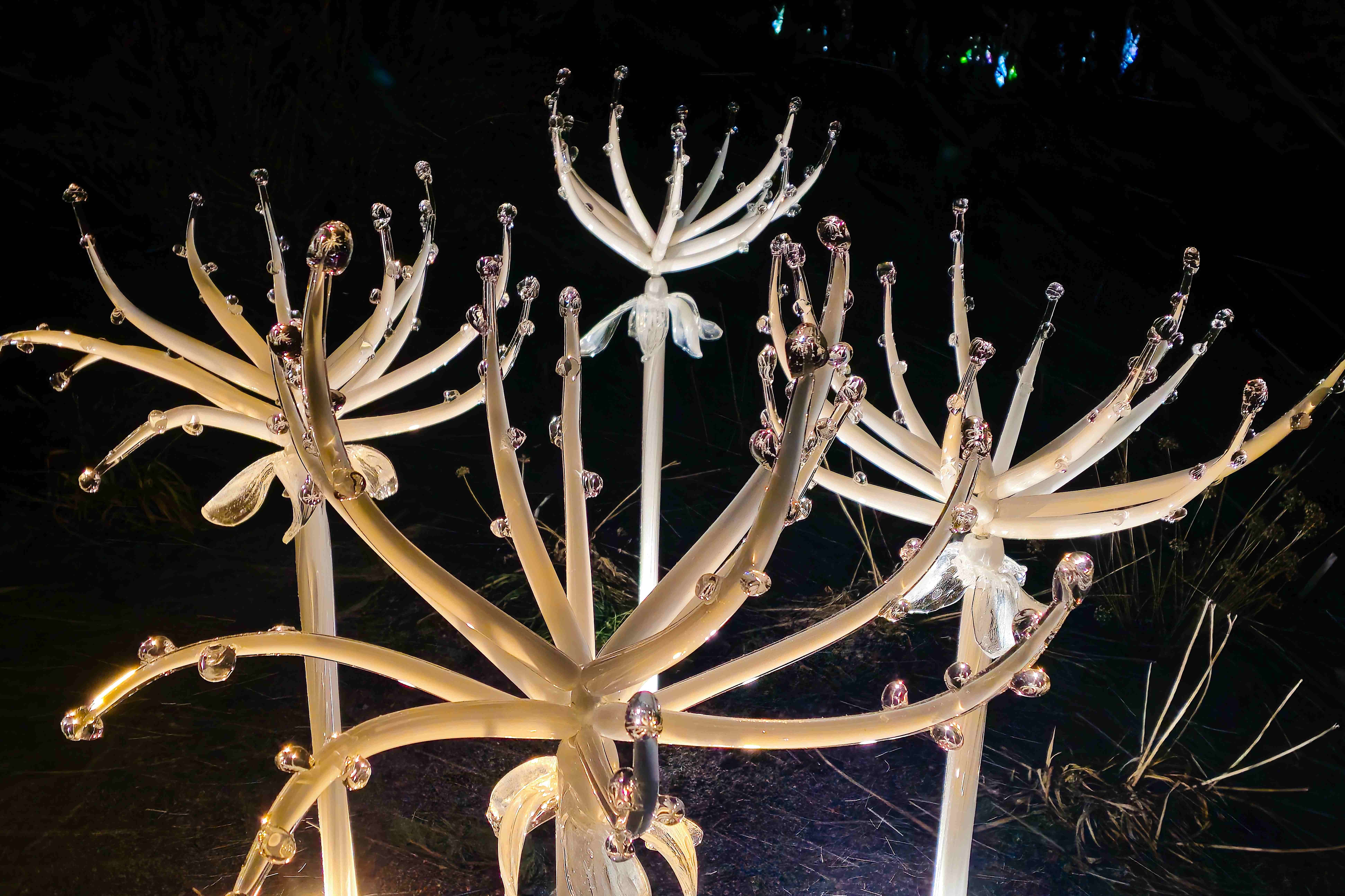 Praha_Křišťálová zahrada_ 2026_01_02_022