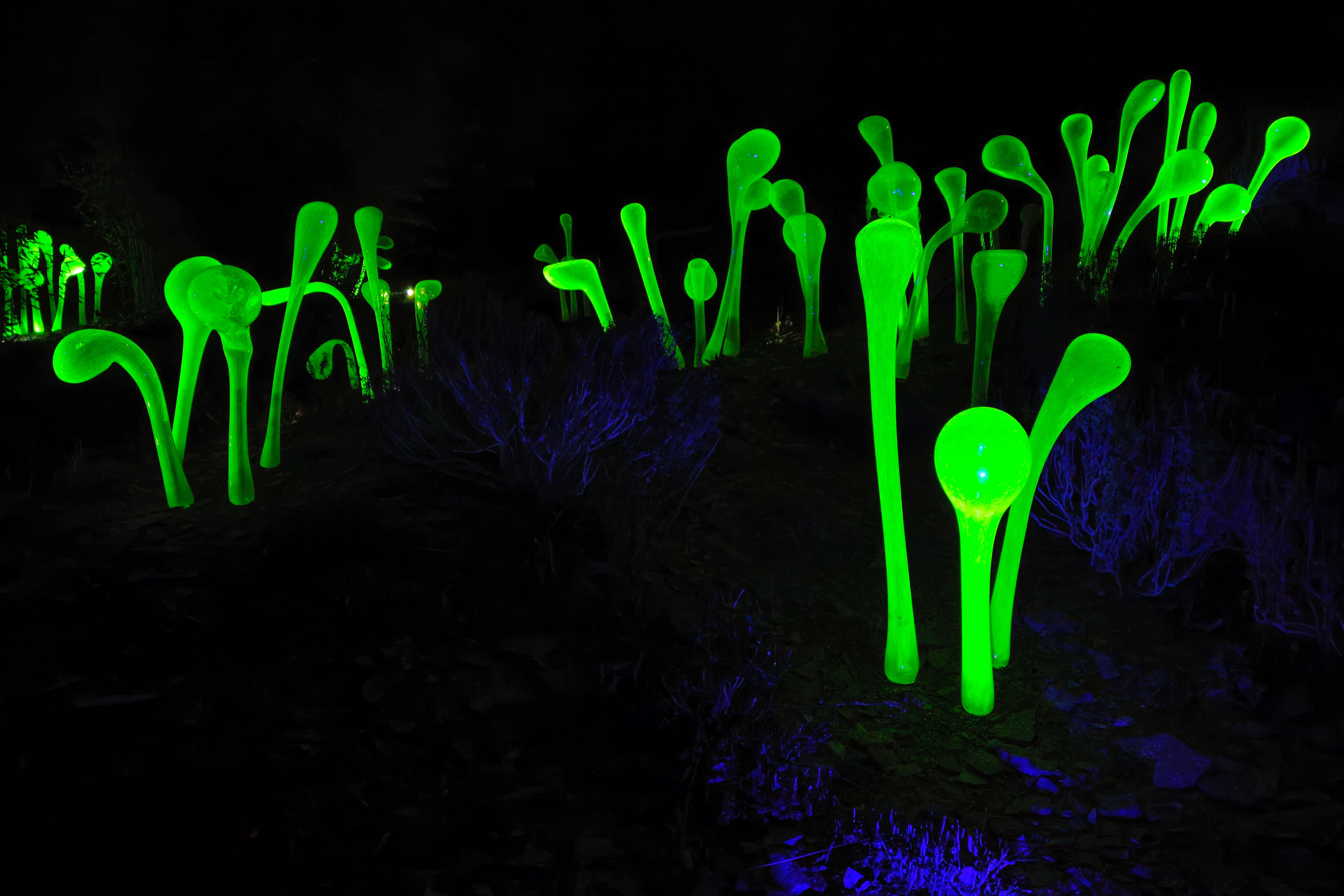 Praha_Křišťálová zahrada_ 2026_01_02_023