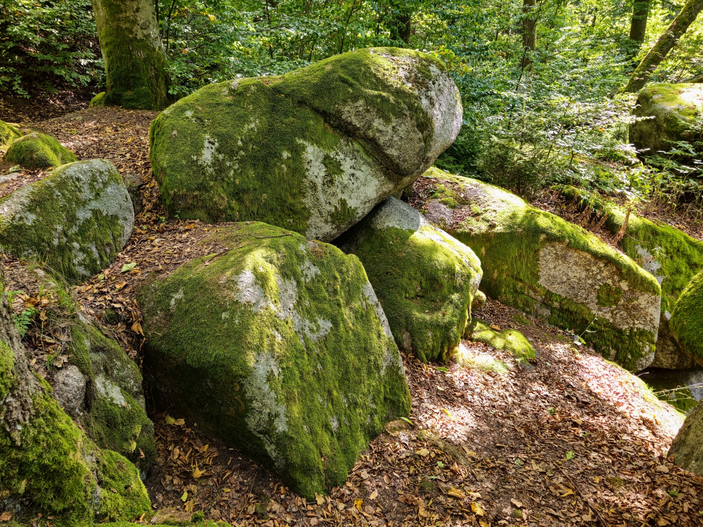 Mariánské Lázně_ 2025_09_21_054