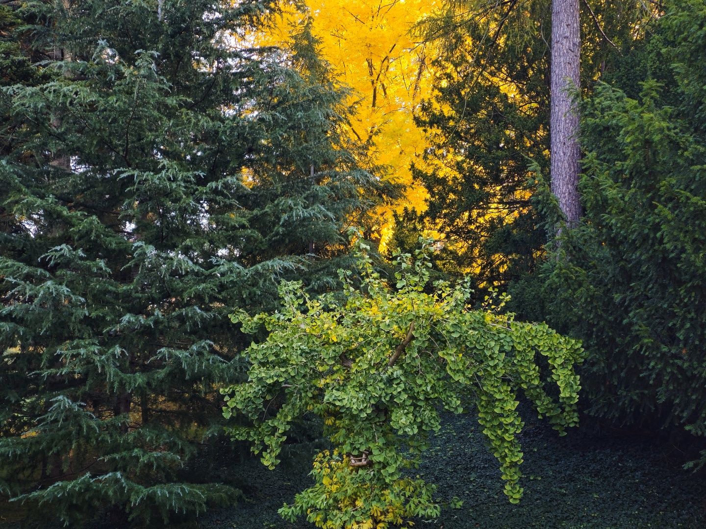 Praha_Botanická zahrada Na Slupi (1)