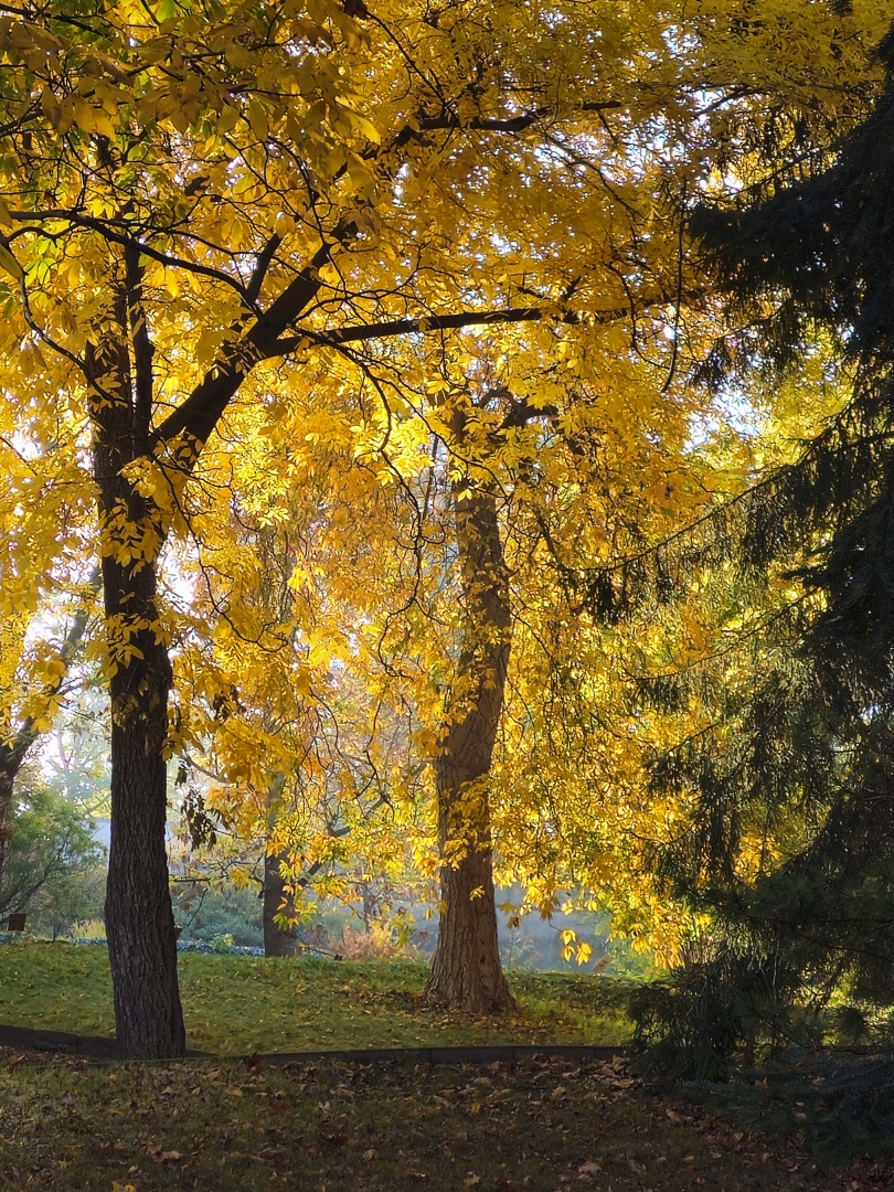 Praha_Botanická zahrada Na Slupi (2)