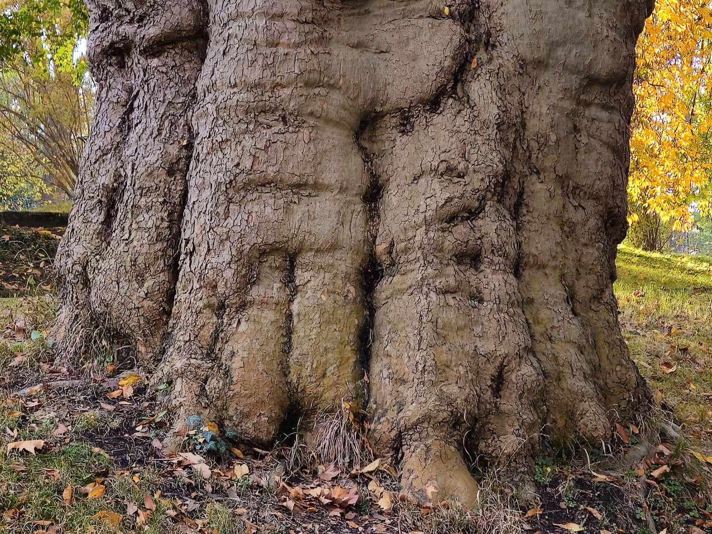 Praha_Botanická zahrada Na Slupi (3)