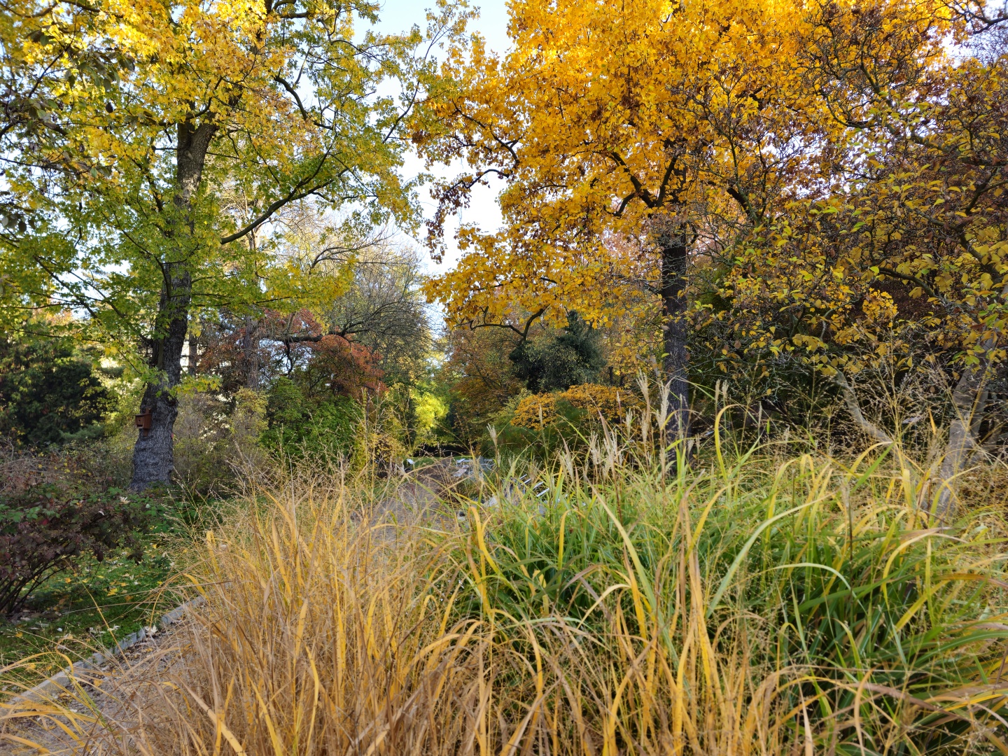 Praha_Botanická zahrada Na Slupi (5)