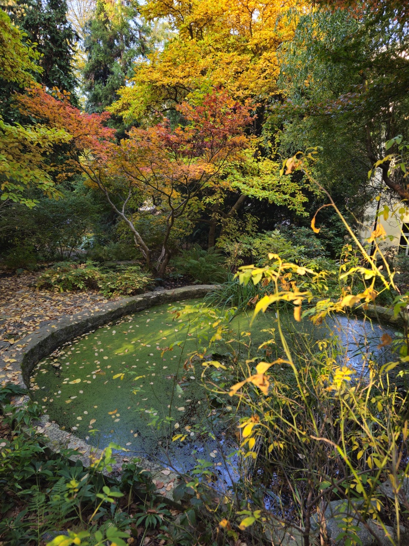 Praha_Botanická zahrada Na Slupi (7)