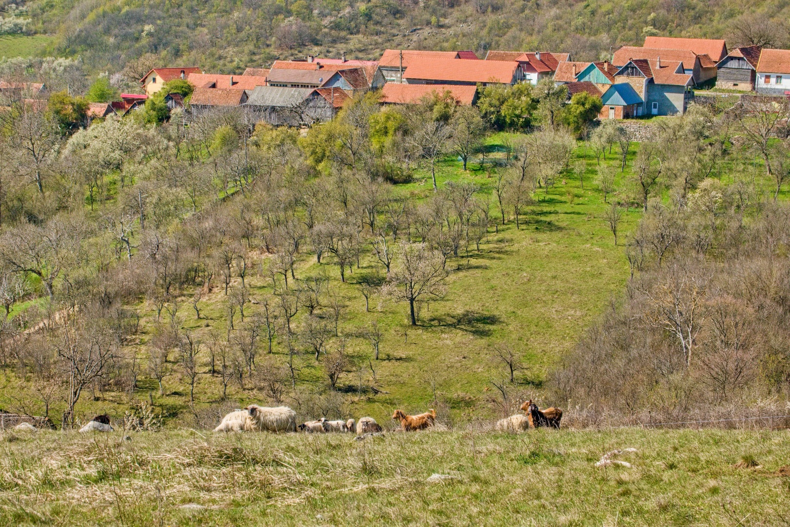 Z Gerníku do Rovenska_na cestě (003)