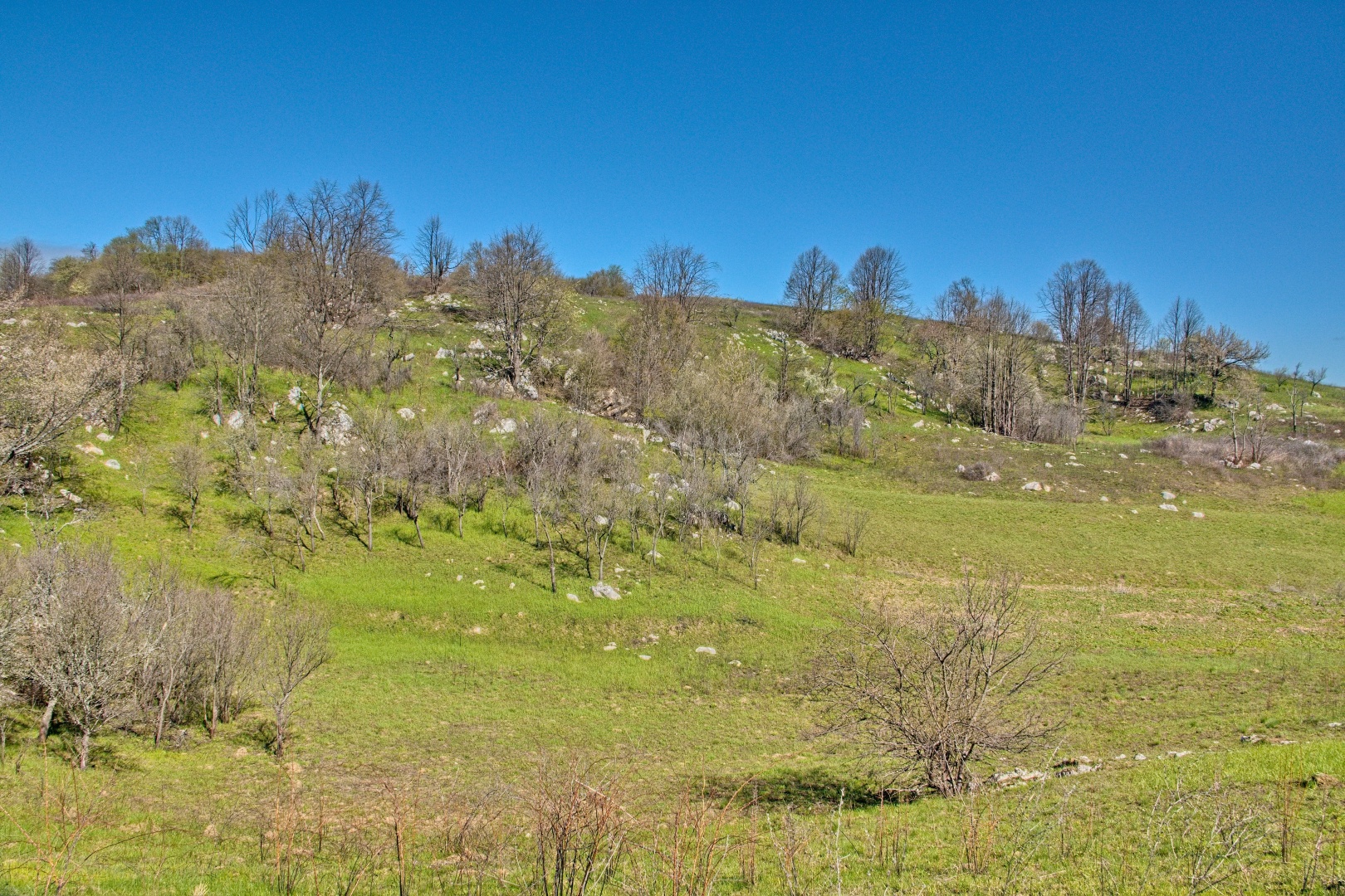 Z Gerníku do Rovenska_na cestě (008)