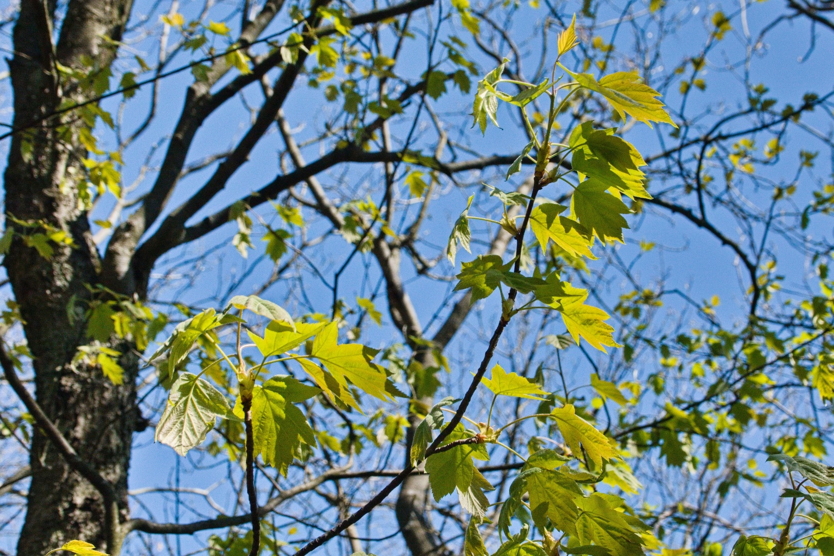 Z Gerníku do Rovenska_na cestě (014)