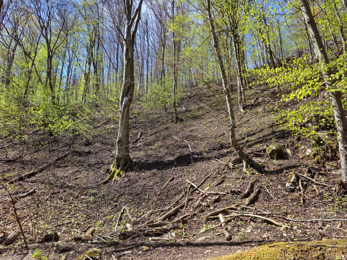 Z Gerníku do Rovenska_na cestě (021)