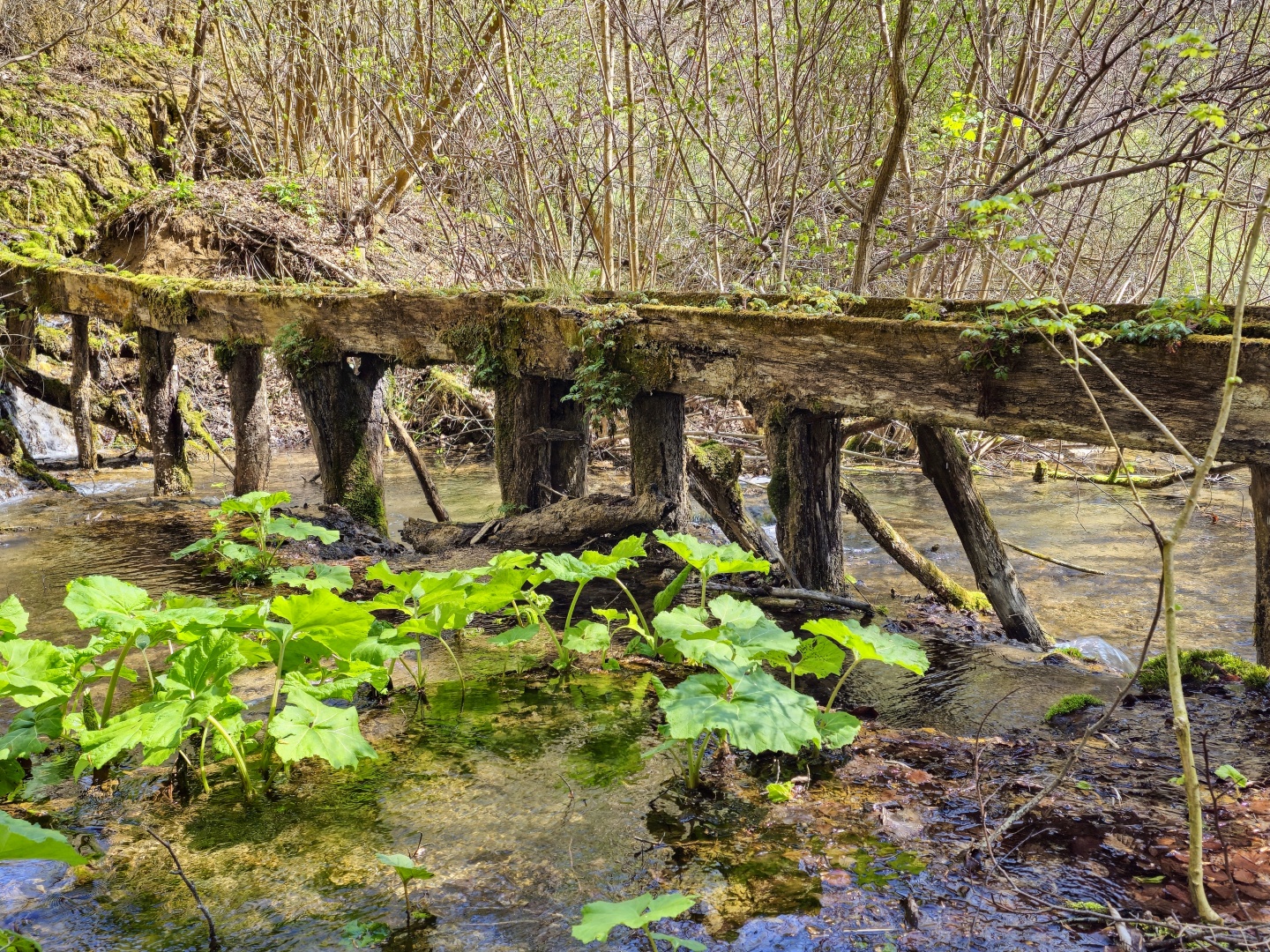 Z Gerníku do Rovenska_na cestě (022)