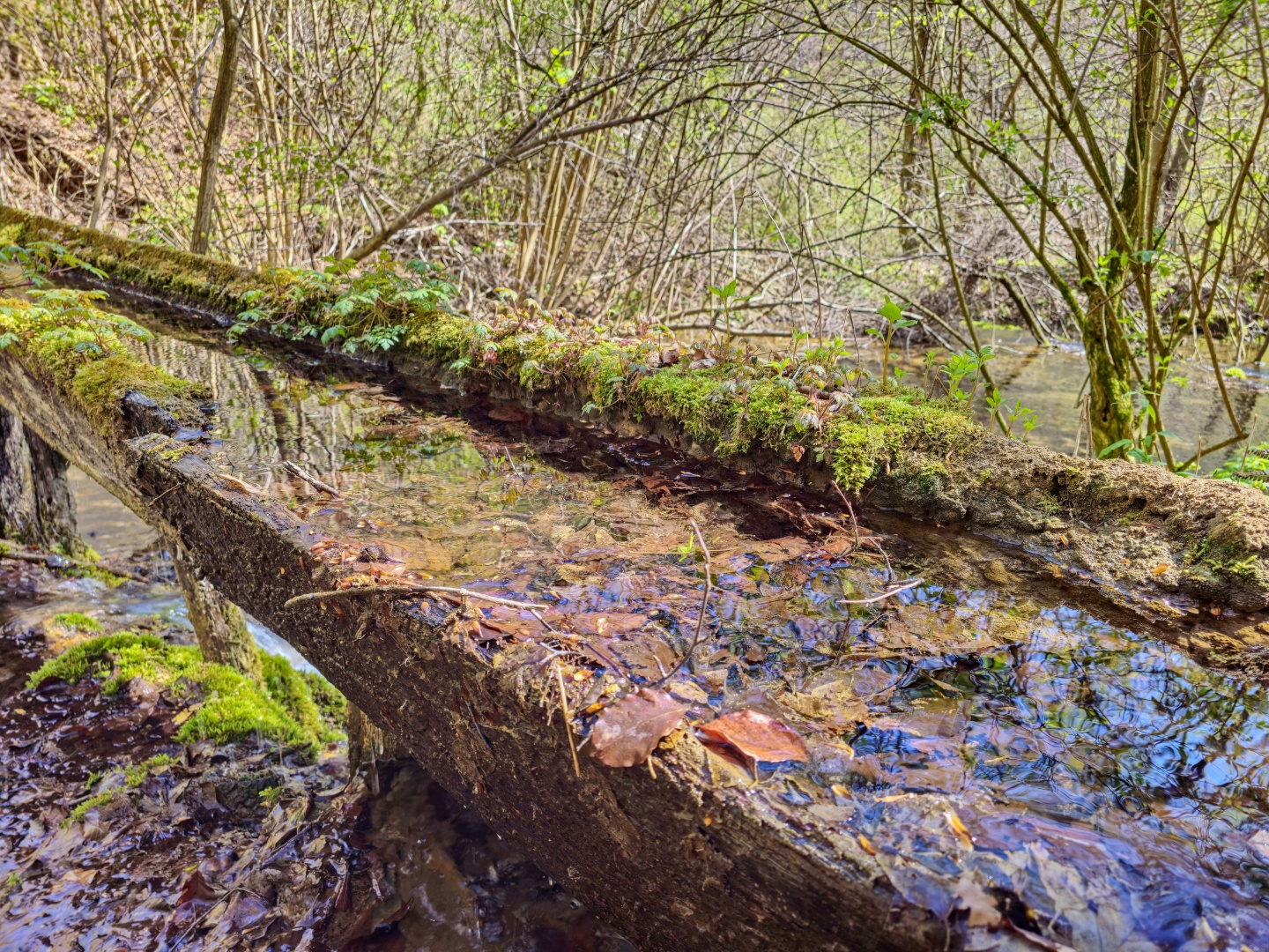 Z Gerníku do Rovenska_na cestě (023)