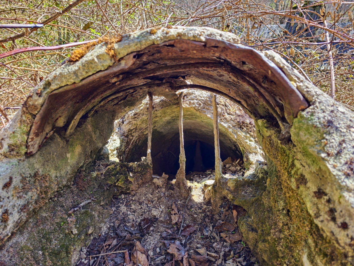 Z Gerníku do Rovenska_na cestě (024)