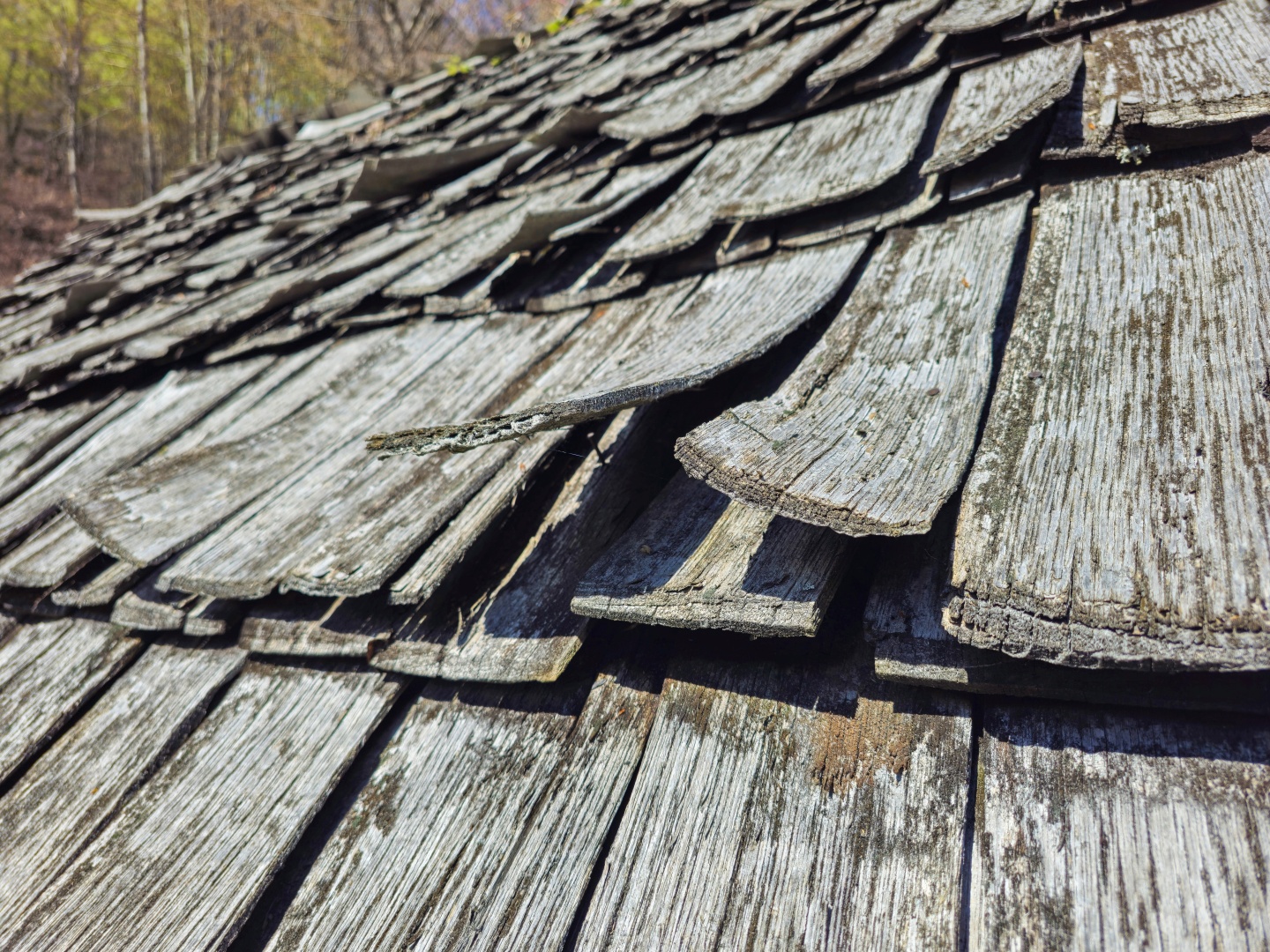 Z Gerníku do Rovenska_na cestě (026)