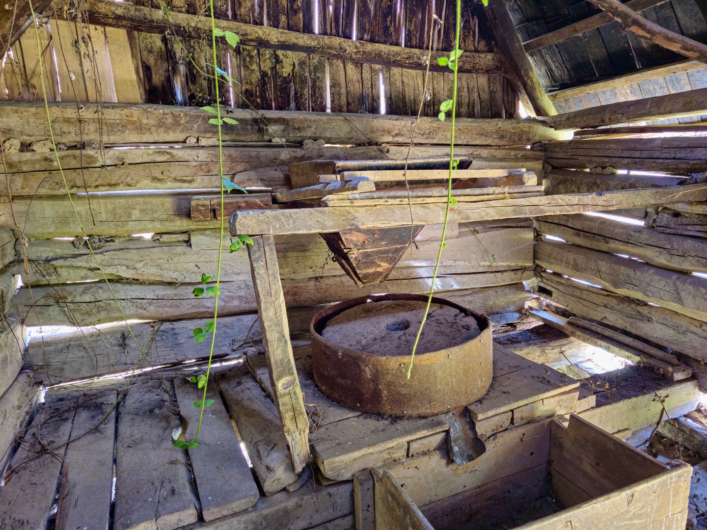 Z Gerníku do Rovenska_na cestě (027)