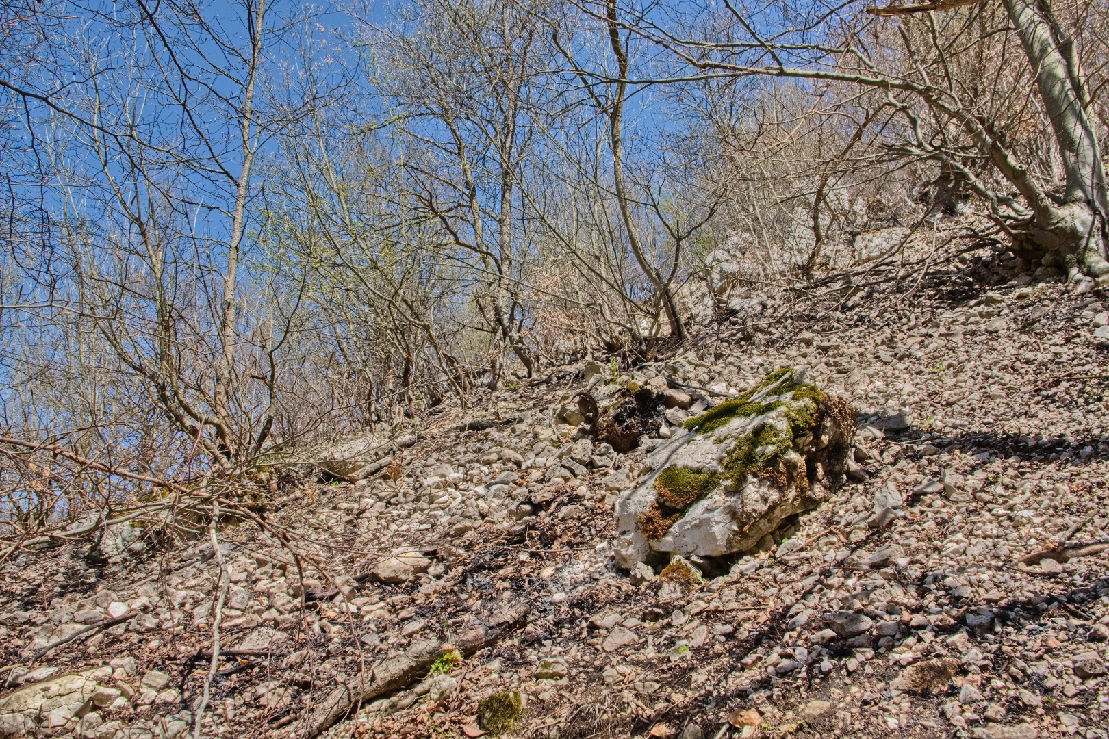 Z Gerníku do Rovenska_na cestě (031)