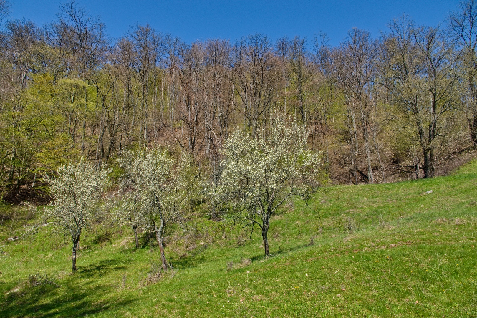 Z Gerníku do Rovenska_na cestě (035)