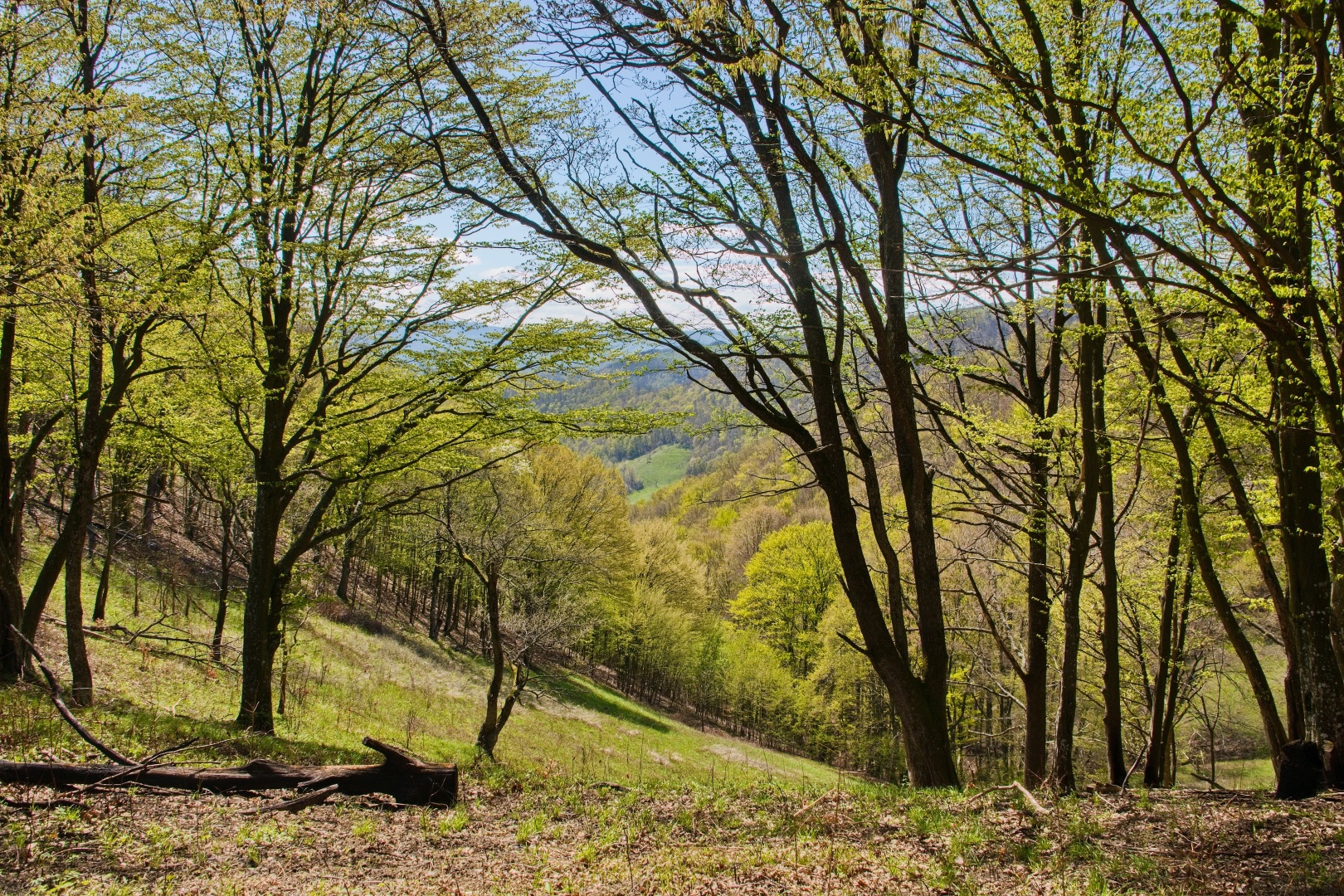 Z Gerníku do Rovenska_na cestě (041)