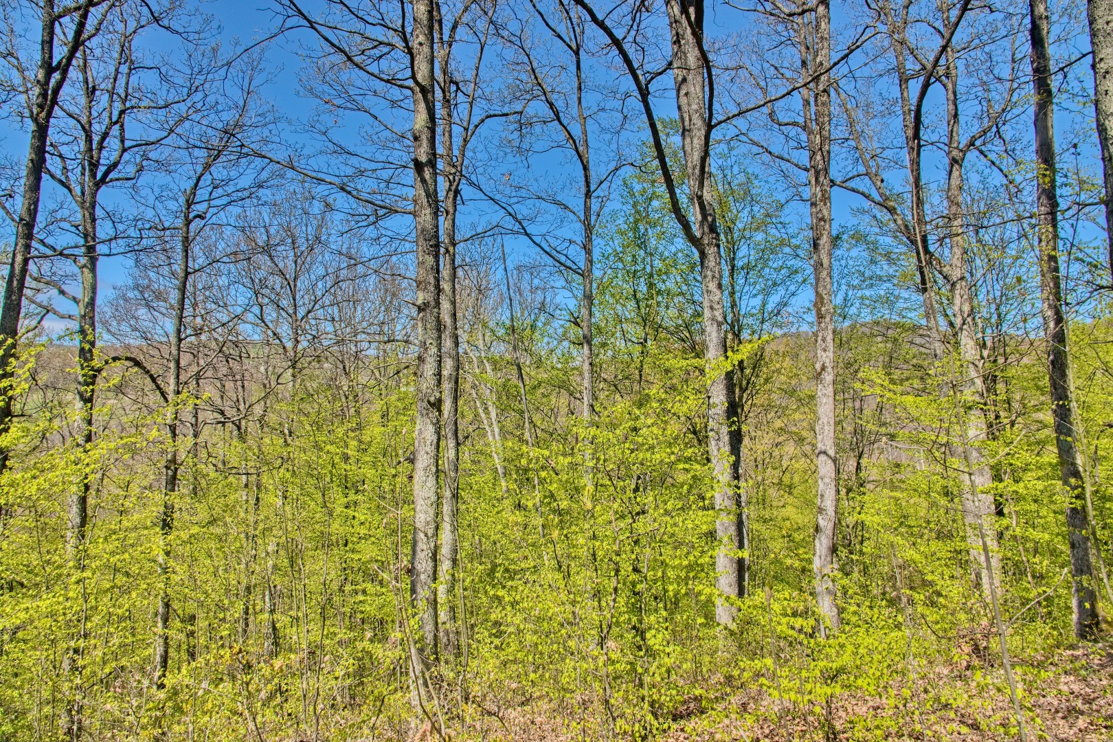 Z Gerníku do Rovenska_na cestě (044)