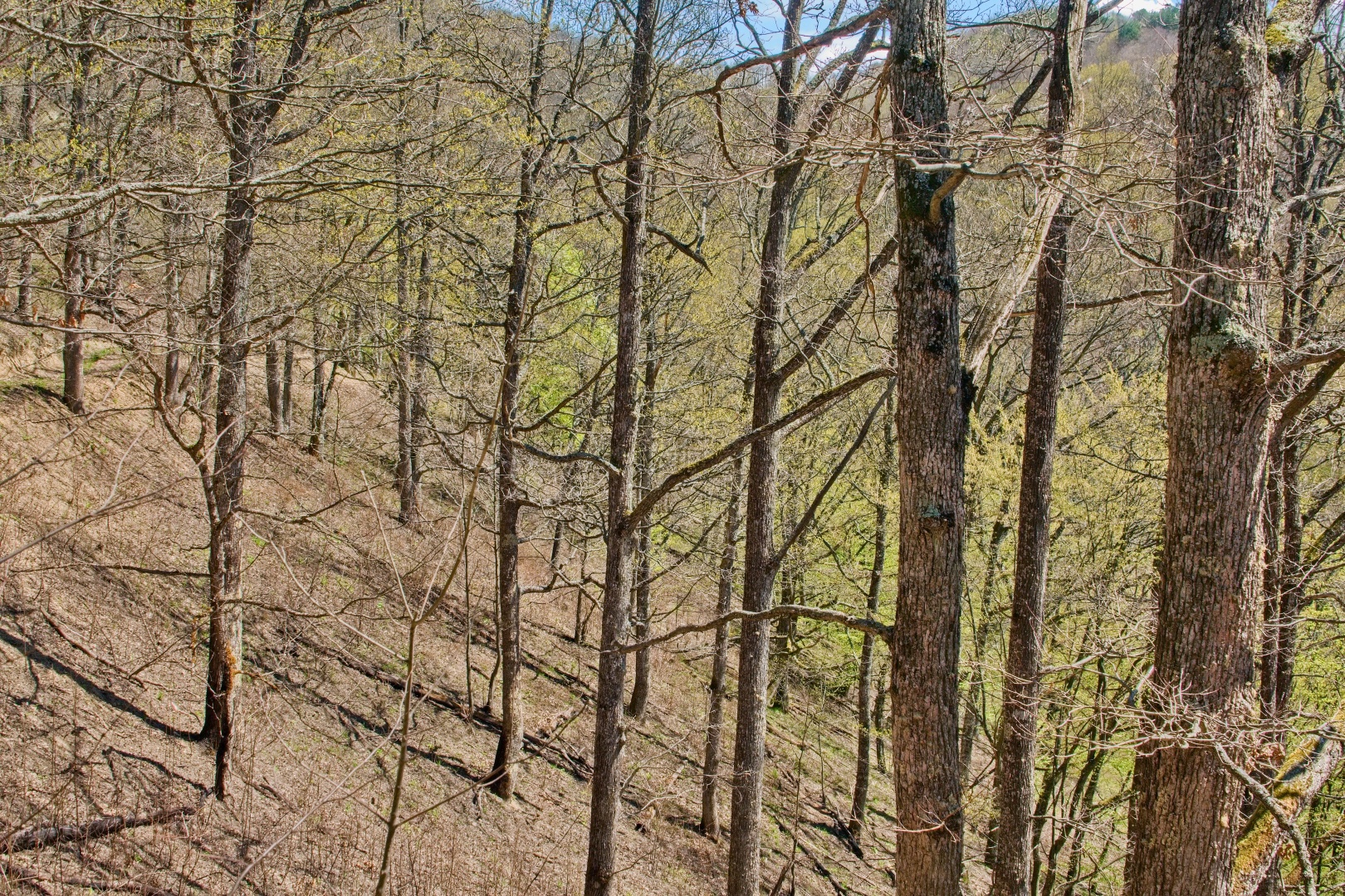 Z Gerníku do Rovenska_na cestě (046)