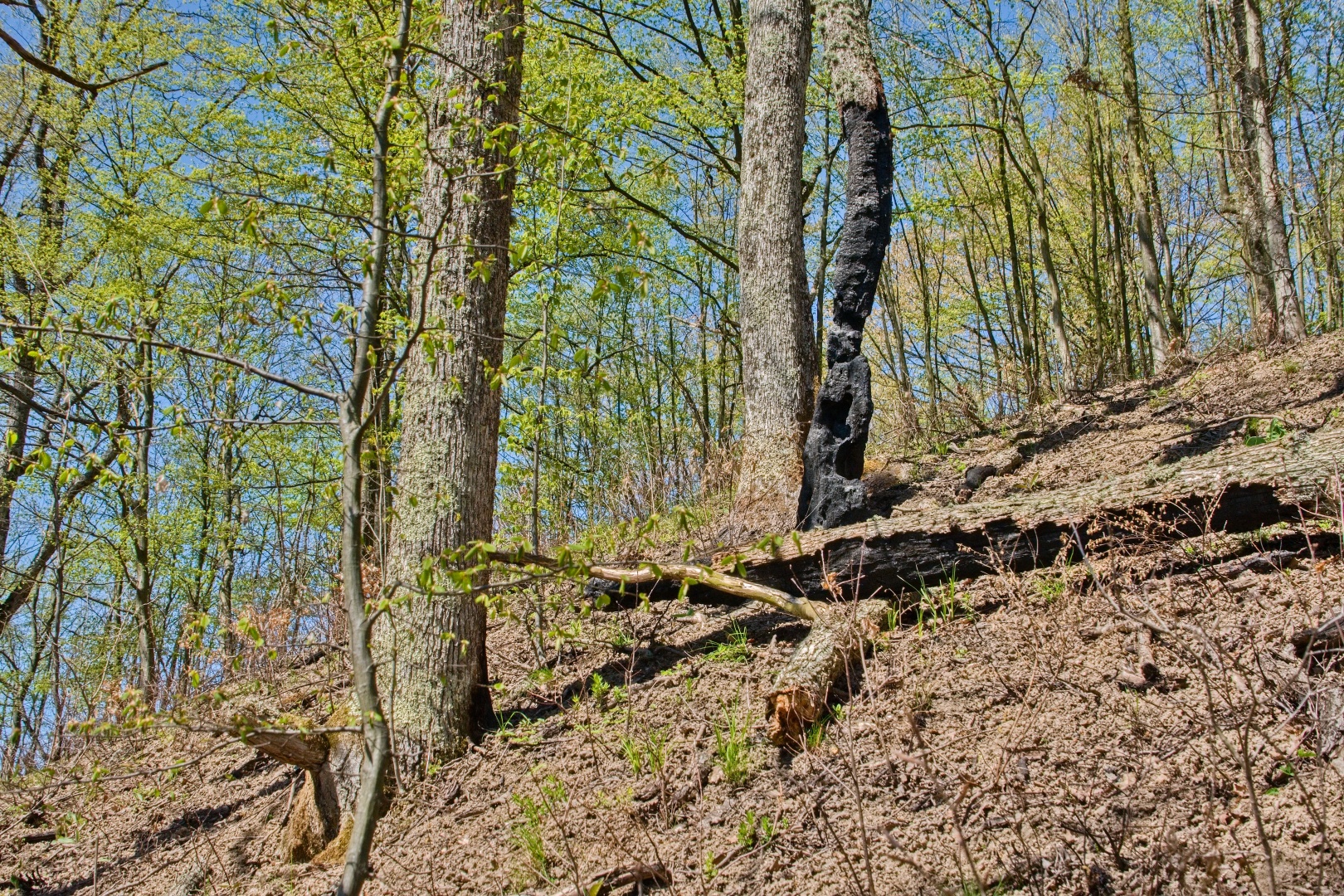 Z Gerníku do Rovenska_na cestě (047)