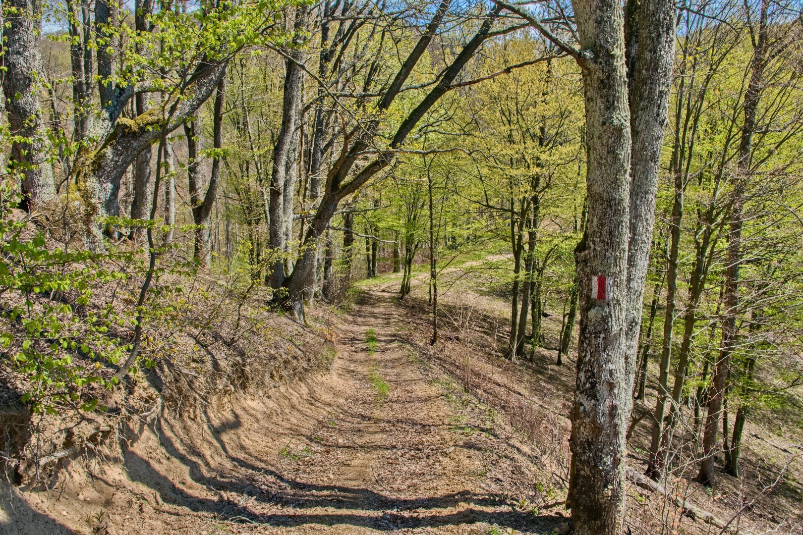 Z Gerníku do Rovenska_na cestě (048)