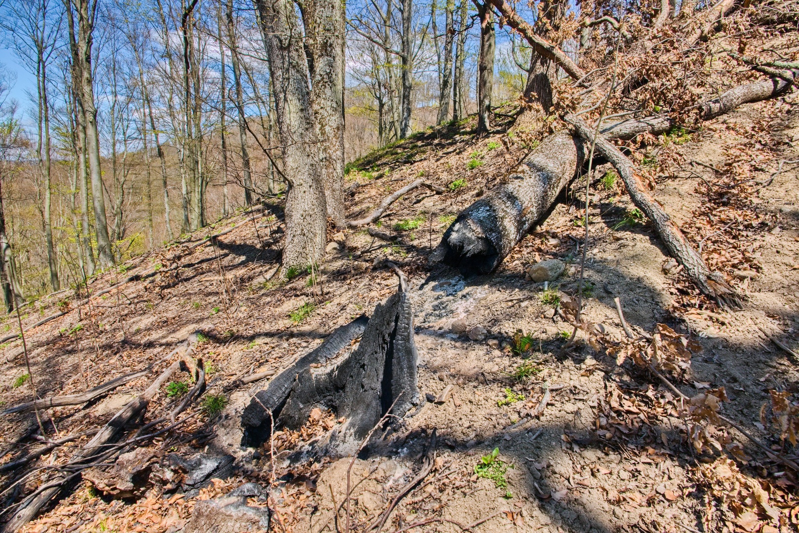 Z Gerníku do Rovenska_na cestě (053)