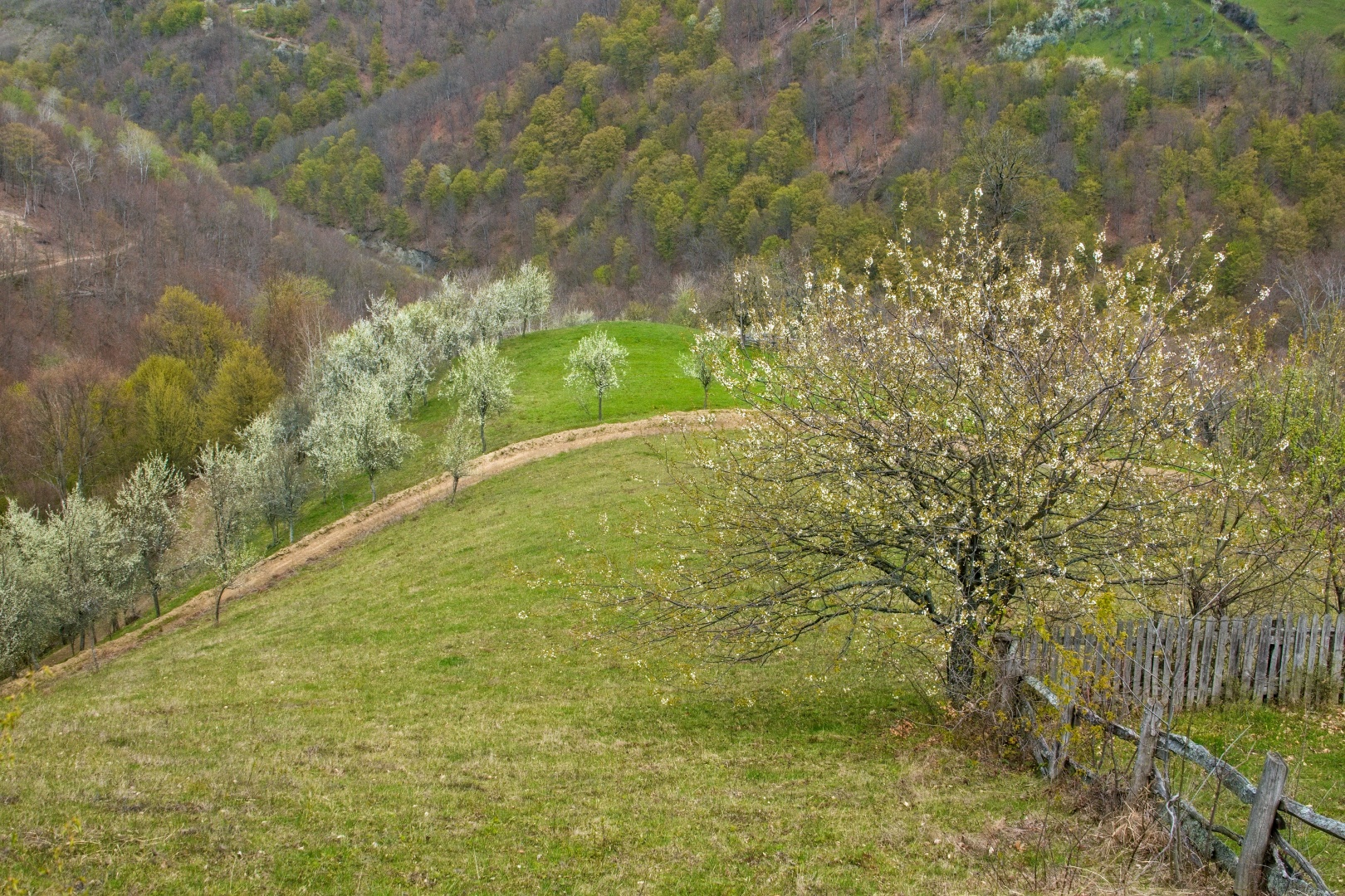 Z Gerníku do Rovenska_na cestě (056)