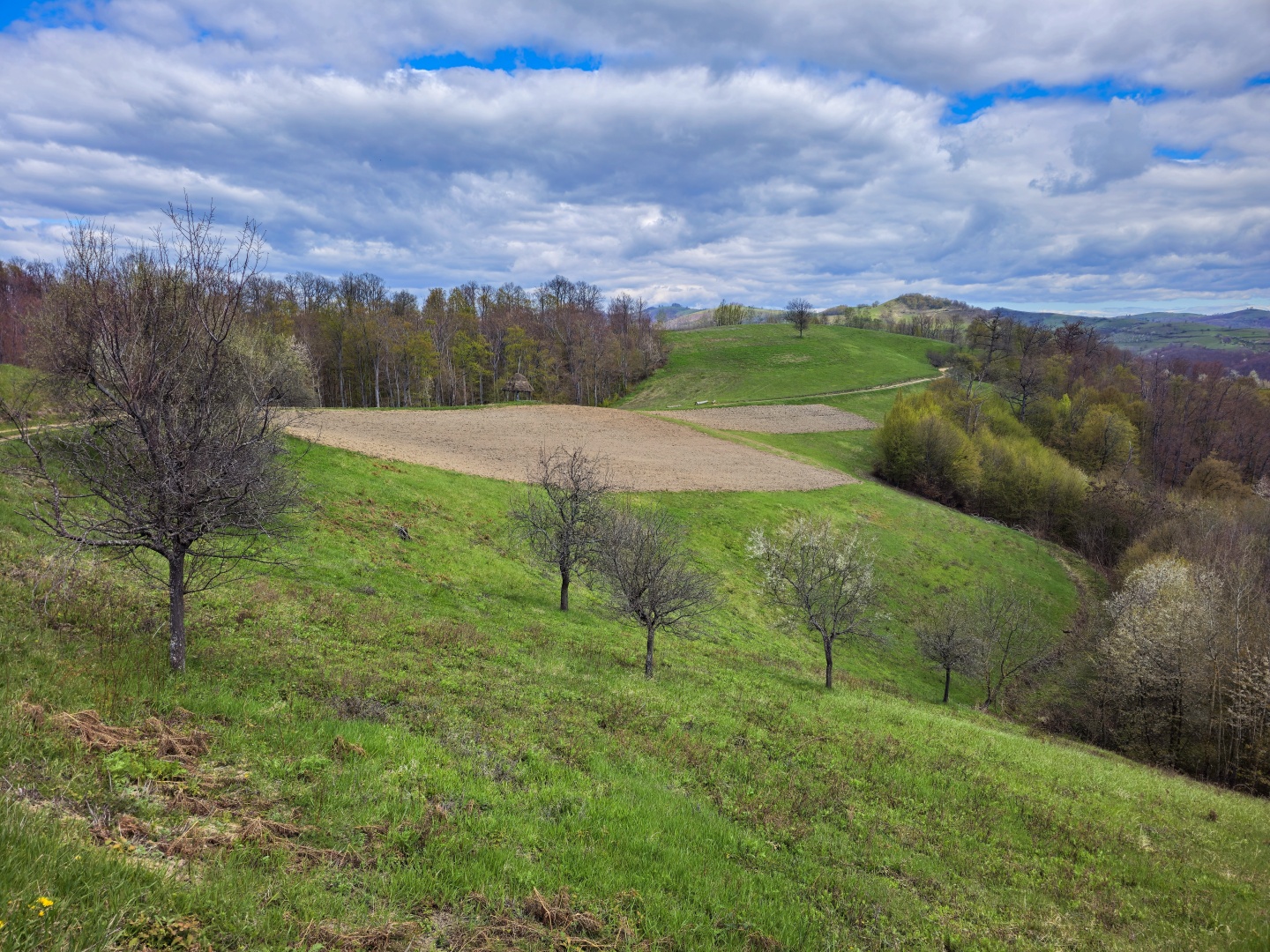 Z Gerníku do Rovenska_na cestě (064)