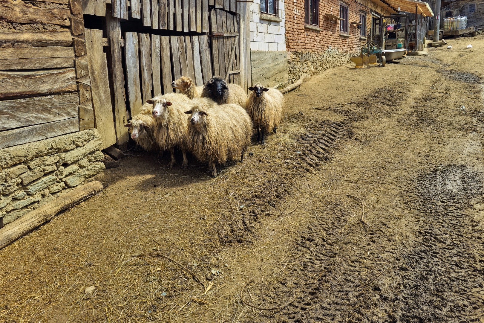 Z Gerníku do Rovenska_na cestě (069)