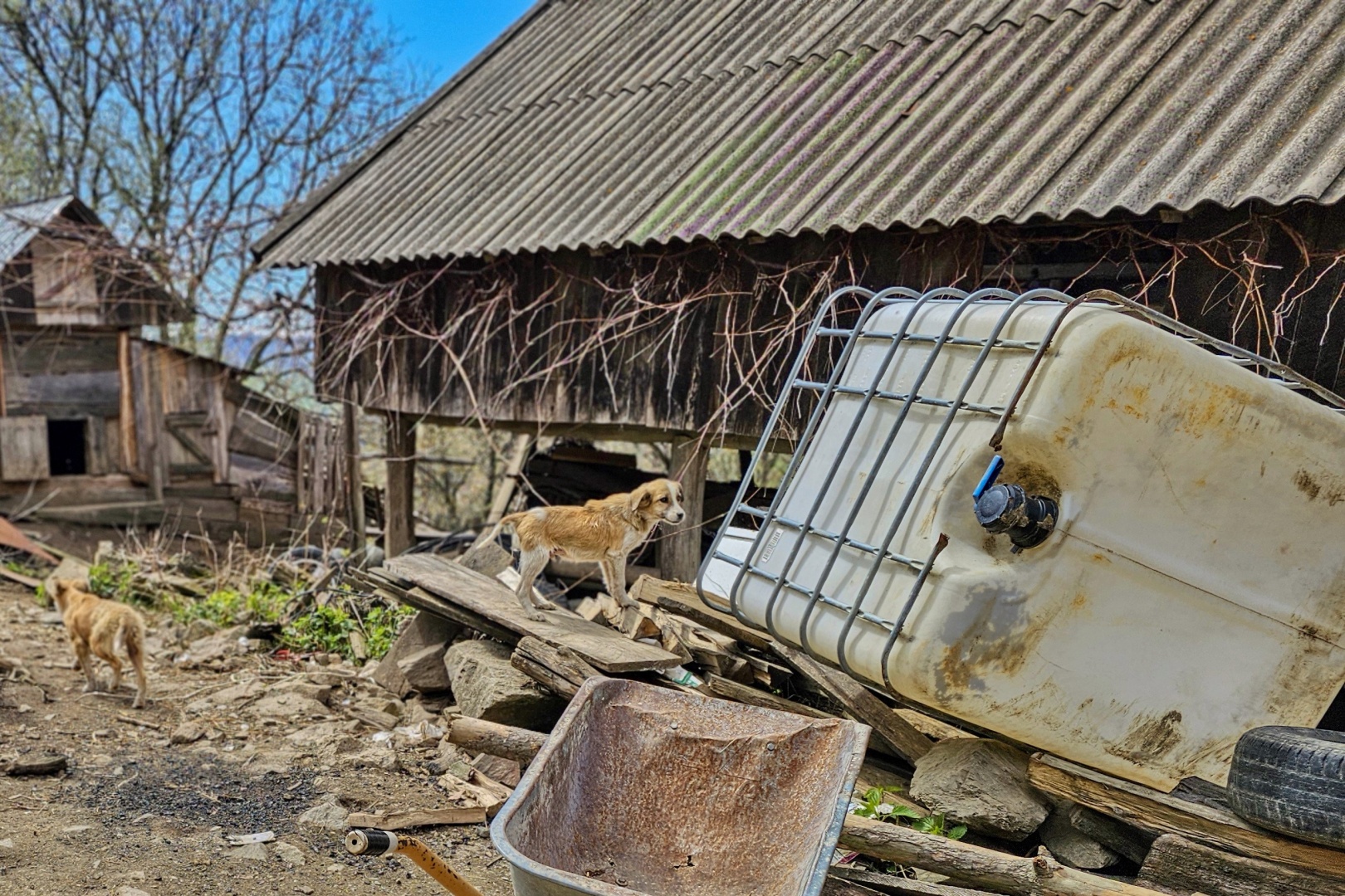 Z Gerníku do Rovenska_na cestě (070)