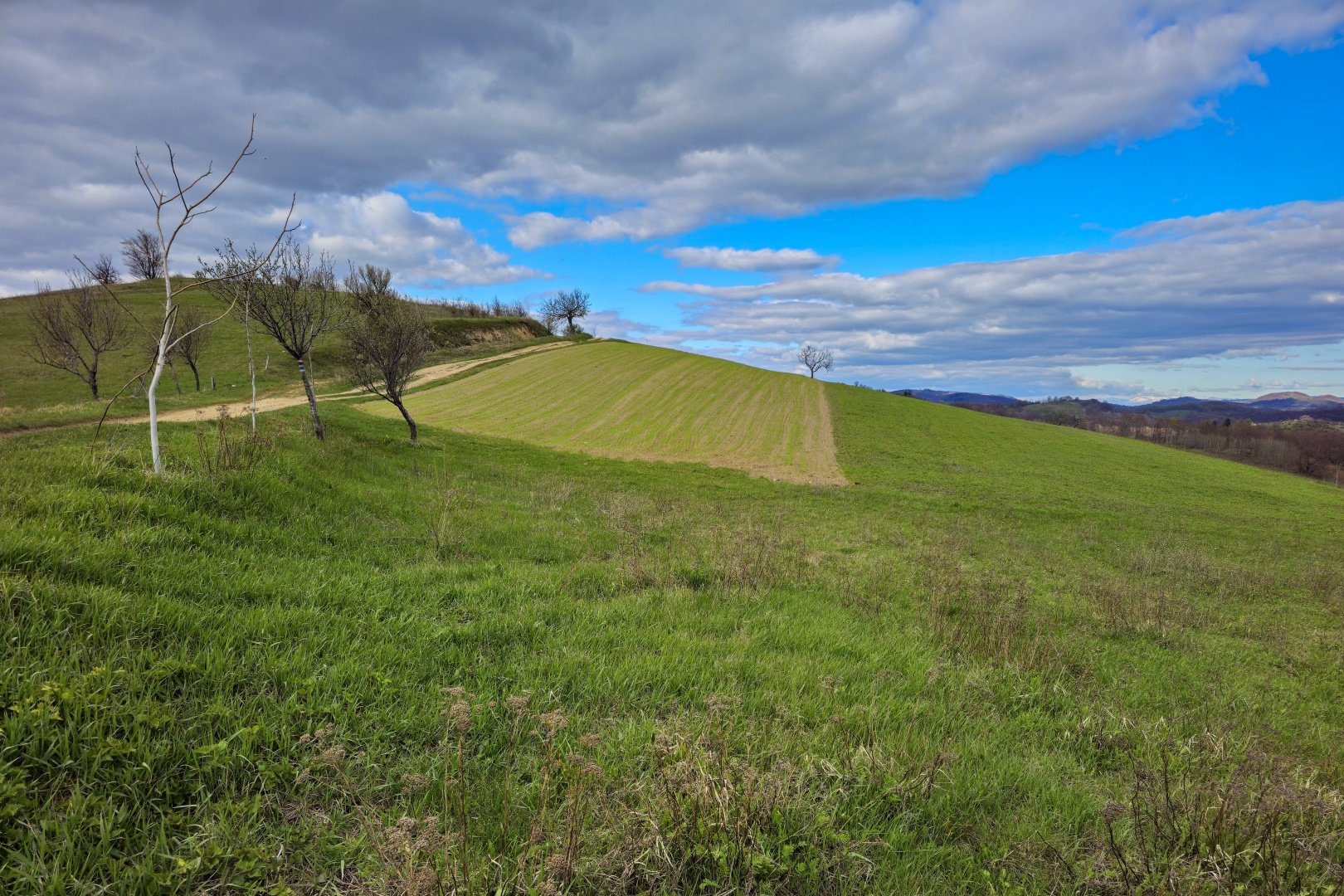 Z Gerníku do Rovenska_na cestě (090)